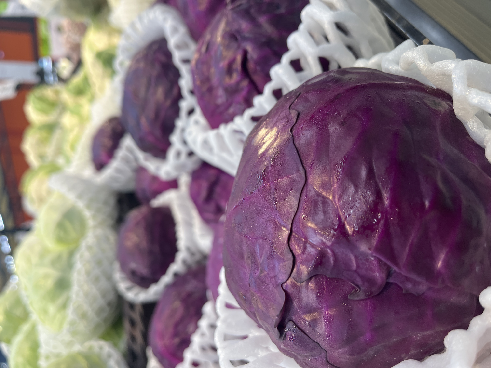 The image shows a close-up of several red cabbages, each individually nestled in white protective netting, displayed in a produce section, likely a market or grocery store. The cabbages are vibrant purple with some visible water droplets on their textured leaves, indicating freshness. In the background, blurred out, are other vegetables, including green cabbages, also in netting. The lighting suggests an indoor setting, possibly under artificial grocery store lights. The scene is devoid of people, focusing solely on the produce. The specific location in Nong Pa Khrang, Thailand, is not discernible from the visual information presented in the image itself; this detail is external context.
