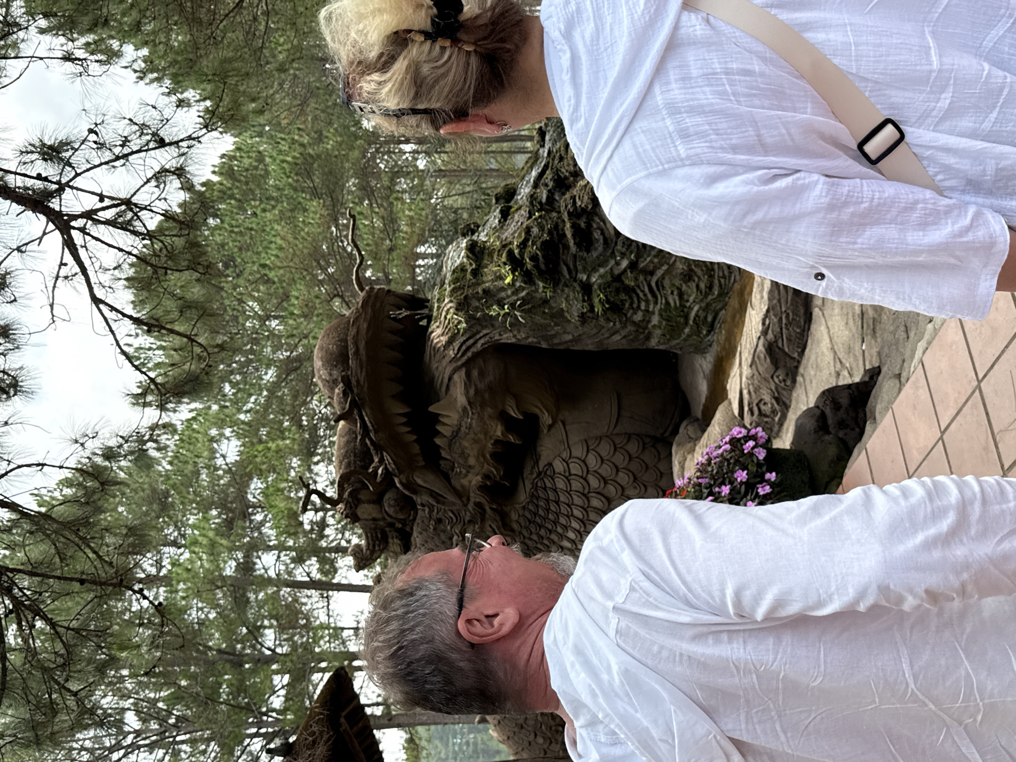 This image, taken in Da Lat, Vietnam, depicts two individuals observing a large, weathered carving of a mythical creature, likely a dragon, in an outdoor setting. The photograph is oriented vertically, showing the subjects looking upwards.
In the foreground, a man with grey hair and a beard, wearing glasses, is seen from a partial side view, dressed in a white long-sleeved shirt. He is looking up towards the right. Behind him and slightly further away, a woman with blonde hair tied back with a claw clip, also wearing a white long-sleeved shirt and carrying a bag with a light-colored strap, is also looking upwards in the same direction. She has an earring visible in her left ear.
Between and behind the individuals, the central focus is a large, dark carving, possibly made of stone or wood, depicting an intricately scaled and fanged creature, likely a dragon. Parts of the carving are covered in green moss and small plants, indicating its age and the natural environment. A small cluster of vibrant purple flowers adds a touch of color near the base of the carving.
The background features numerous tall pine trees, their branches and needles visible against a bright, overcast sky. On the far right, a section of a tiled ground or platform with a light brown and beige pattern is visible. The scene suggests a daytime visit to a park, garden, or temple grounds, where visitors are admiring cultural artwork amidst nature. No text is visible in the image.