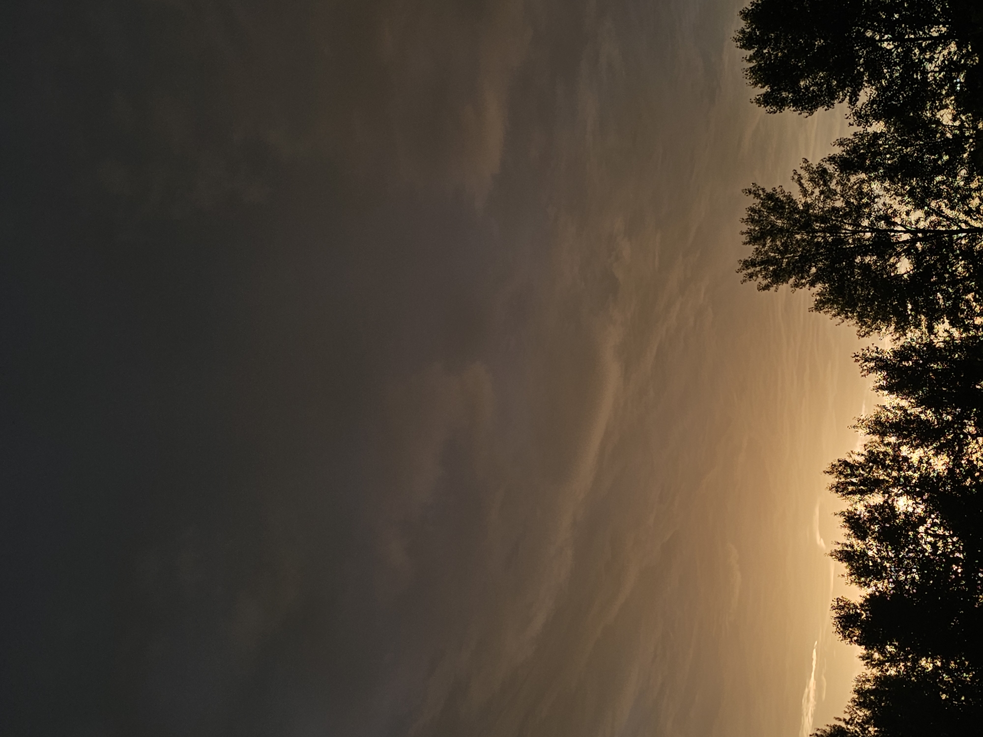 The image captures a serene evening sky over a treeline, likely on the outskirts of Nizhny Novgorod, Russia. The sky transitions from a warm, golden hue near the horizon to a deep, dusky gray towards the top. Wispy clouds streak across the sky, catching the fading light. Silhouetted against this vibrant backdrop are the dark forms of deciduous trees, their branches reaching upwards. The overall impression is one of tranquility as day gives way to night.