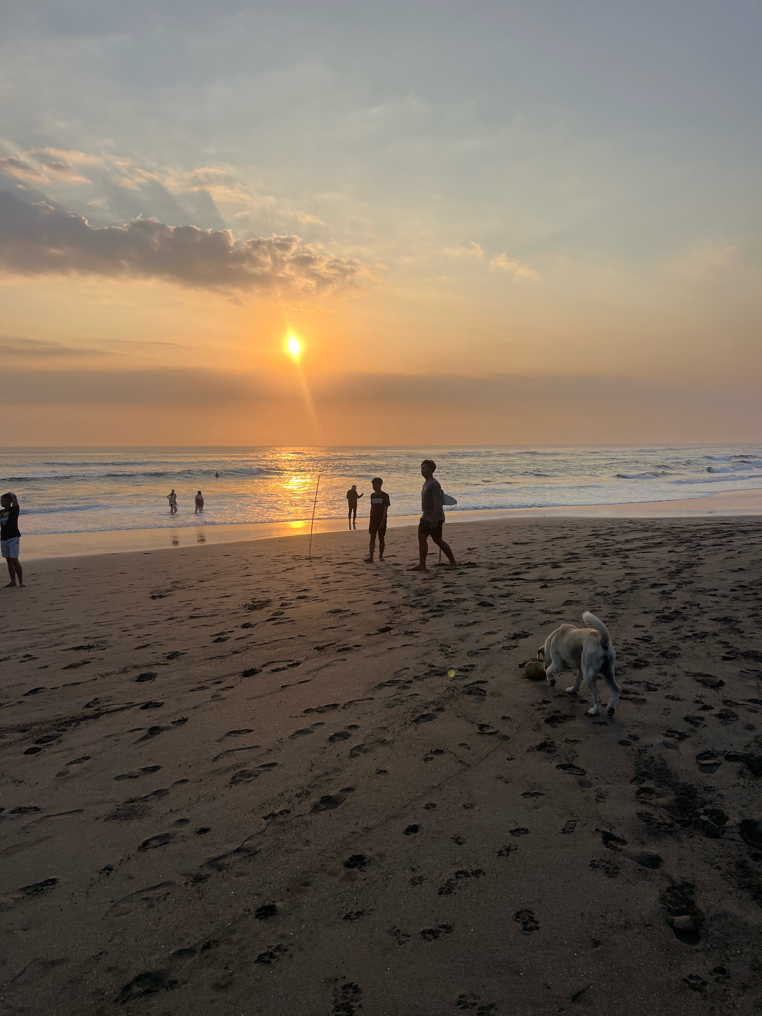 The image depicts a sunset scene on a beach, likely in or near Kediri, Indonesia, given the context. The sun is low on the horizon, casting a warm, orange glow across the sky and reflecting on the ocean waves. Several people are visible on the shore and in the shallow water. In the foreground, a light-colored dog is interacting with a coconut on the dark sand, which is marked with numerous footprints. Further down the beach, individuals are walking and standing, some near the water's edge. The overall atmosphere is serene, capturing a moment of leisure during sunset.