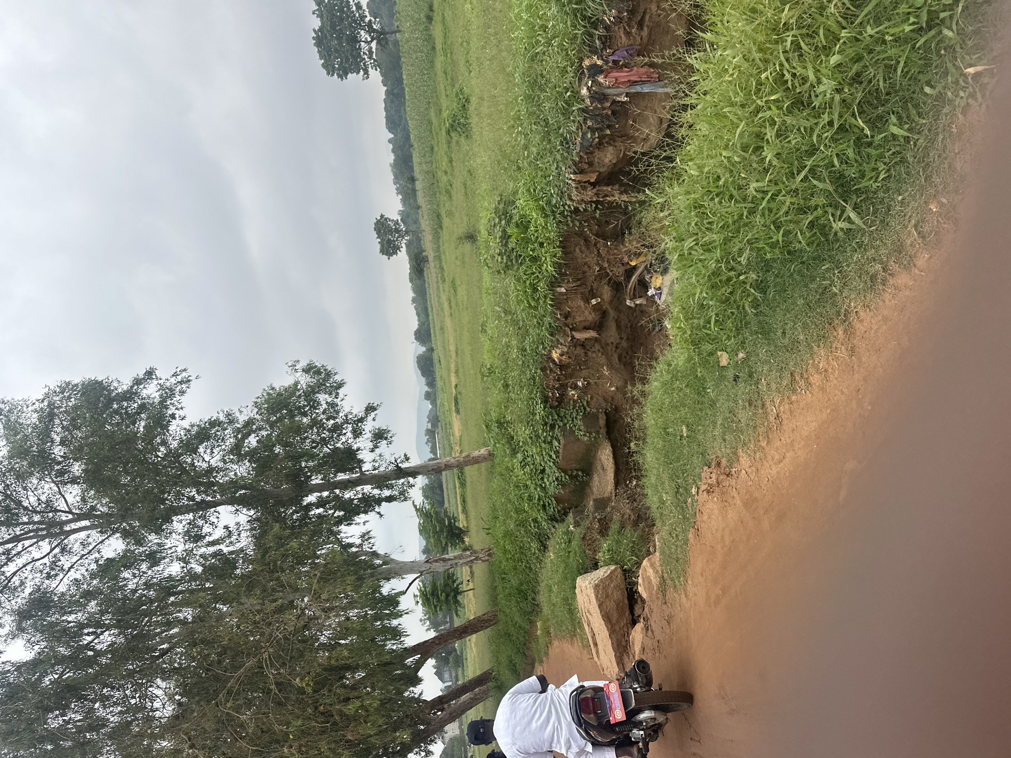 An over-the-shoulder shot captures a person on a motorcycle traveling on a dirt road in Katambe, Nigeria. The rider, wearing a white garment and a black cap, is positioned on the left side of the frame. The motorcycle is facing away from the viewer, heading towards the right. The road surface is a reddish-brown, dusty earth.
To the right of the road, a steep embankment is eroded, revealing soil and debris. This eroded area is littered with trash, including plastic bags and discarded clothing. Overhanging the embankment is lush green grass and vegetation.
Beyond the embankment, a vast, green field stretches into the distance, dotted with trees. In the background, rolling hills are visible under a cloudy, overcast sky. Several tall, slender trees with sparse foliage line the left side of the road, their trunks leaning at various angles. The overall impression is of a rural or semi-rural landscape.