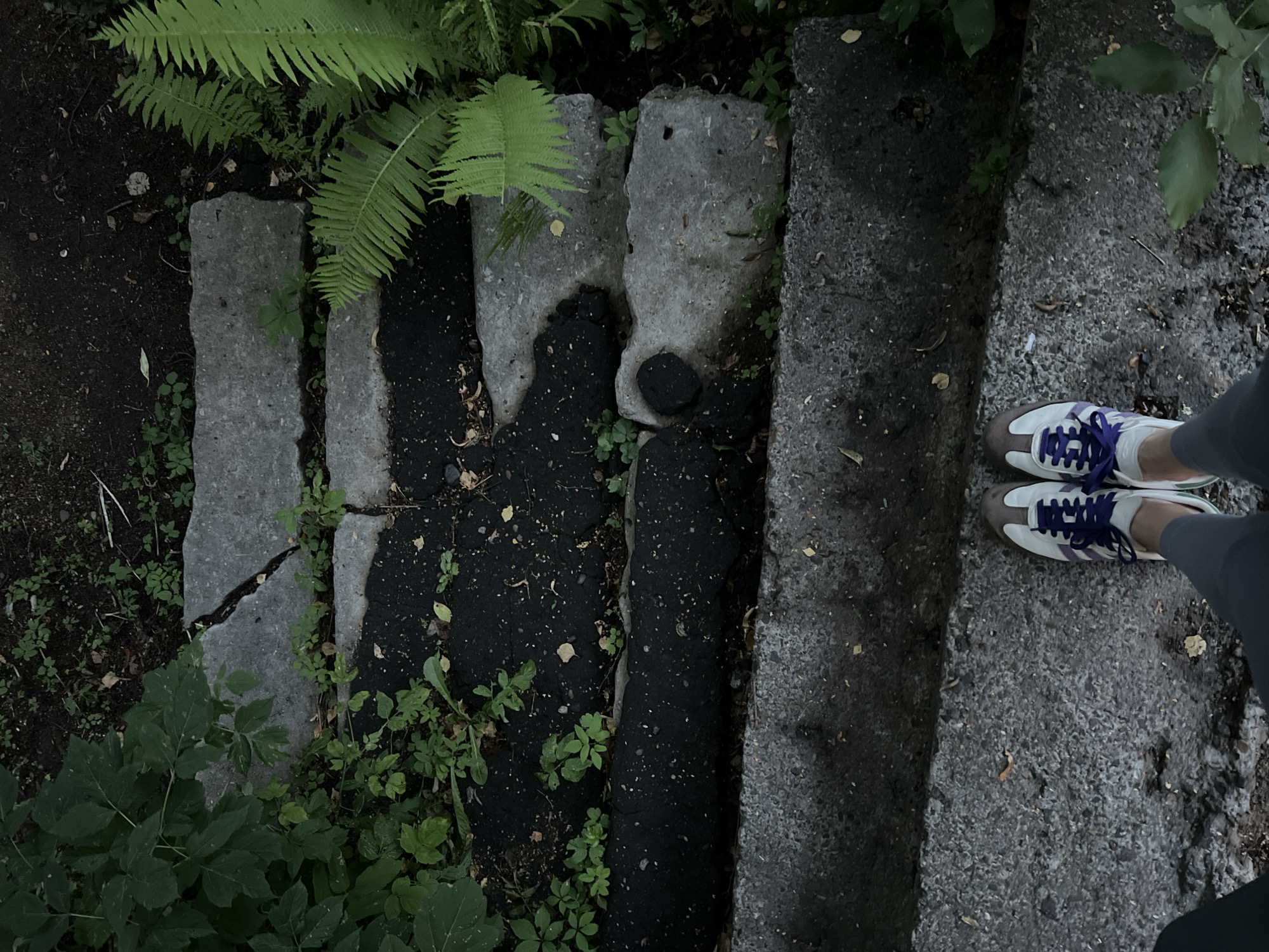 The image shows a person's feet wearing white and brown sneakers with purple laces, standing on a concrete step. The steps appear to be old and are partially overgrown with vegetation, including green leaves and ferns. The ground is a mixture of dark soil and some debris. The scene is outdoors, and the lighting suggests it might be evening or a shaded area. The location is identified as Nizhny Novgorod, Russia.