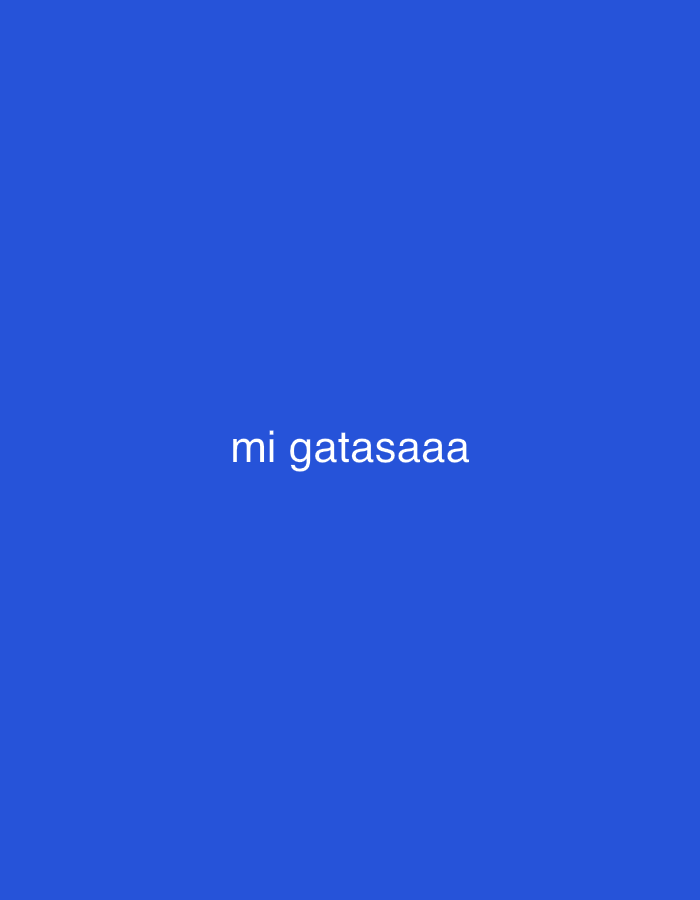 The image features a minimalist design with a solid royal blue background. Centered horizontally and positioned slightly above the vertical midpoint, the text "mi gatasaaa" is displayed in white, lowercase sans-serif letters. No other subjects, objects, or discernible scene elements are present in the image. There is no activity or event depicted. The background is uniformly colored, offering no visual cues about a specific time of day, weather conditions, or any particular location within Santa Ana, Venezuela. The image's simplicity suggests it could be a digital graphic, a placeholder, or a meme focused solely on the text.