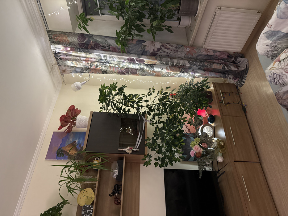 A cluttered interior features a bed partially visible on the right. A large wardrobe or shelving unit dominates the scene, adorned with plants, decorative items, and a framed painting. A black TV is visible on the lower part of the unit. String lights are draped along the curtain rod and elsewhere, adding a warm glow. The curtains are floral and abstract, and a radiator is visible near the ceiling.