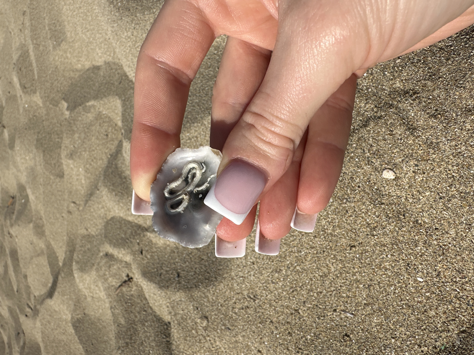 A close-up, eye-level shot shows a person's hand holding a small, cracked, greyish-white shell fragment with intricate black and white patterns inside. The shell is held between the thumb and index finger, revealing a French manicure on the fingernails. The background consists of the textured surface of sandy beach, likely located in Peyia, Cyprus, with subtle shadows cast across it, suggesting a sunny day.