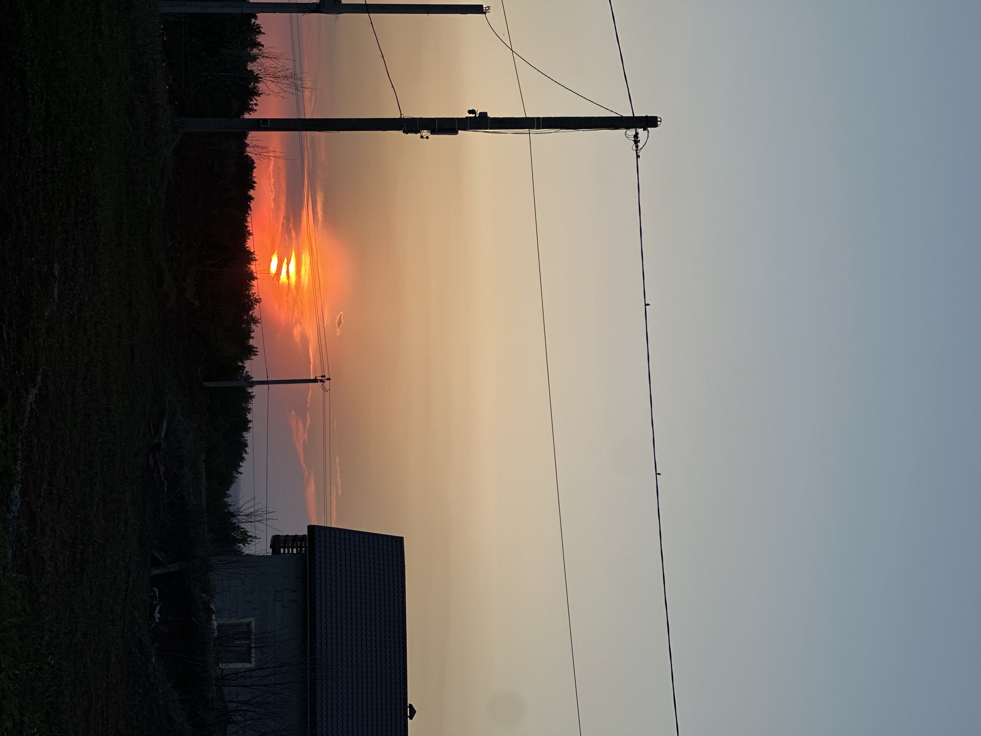 The image shows a landscape in Прикамский, Russia at sunset. In the foreground is the roof of a building. Behind the building is a line of trees and a utility pole. The sun is setting behind the trees. A power line runs across the frame. The sky is bright orange and yellow in the center, fading to light blue at the top.