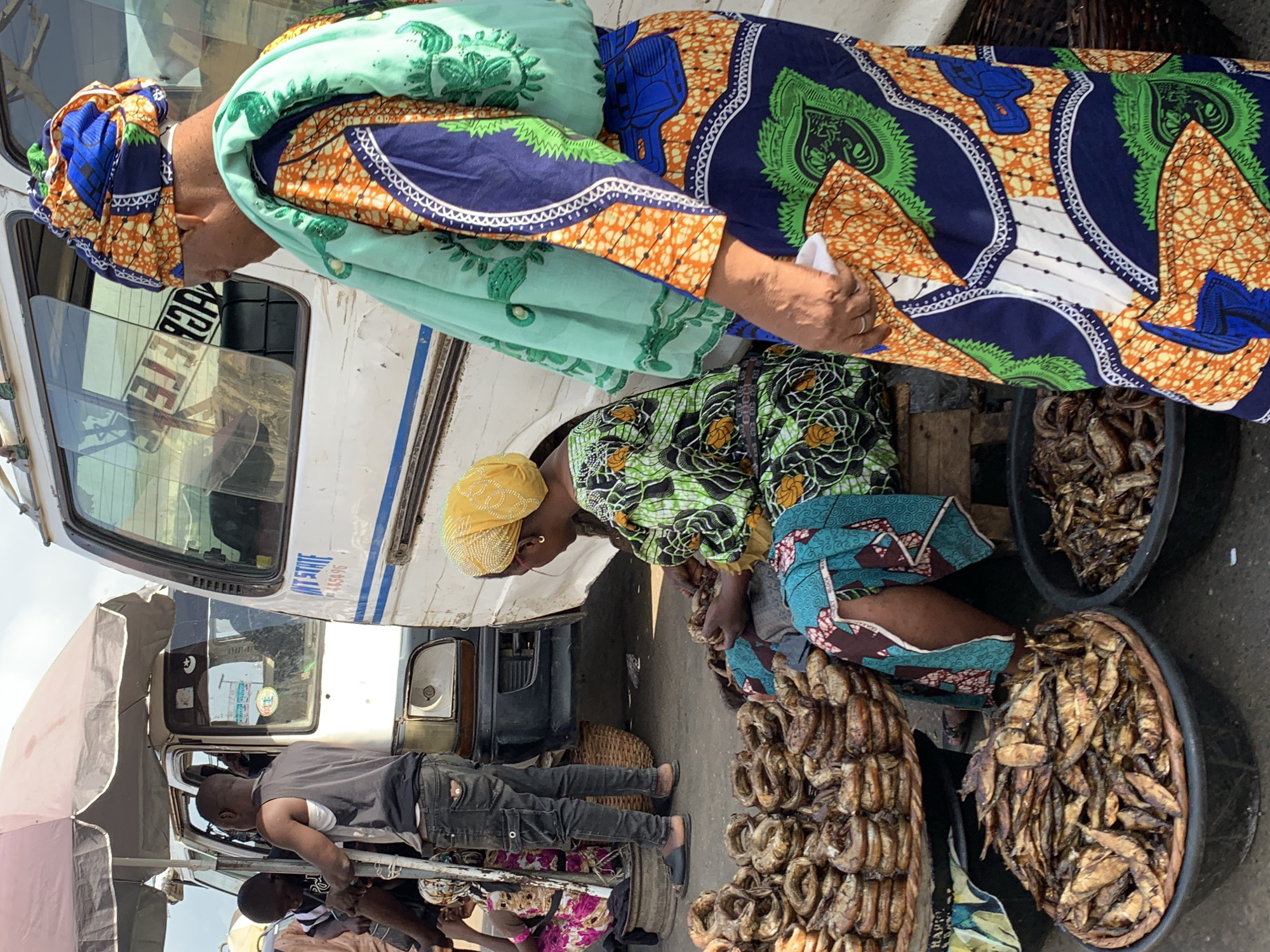 In Ikorodu, Nigeria, the scene captures an outdoor market setting. Two women are the focal point; one stands and the other is seated amidst an array of baskets and buckets filled with dried fish. The standing woman wears a colorful headwrap and a patterned top with hues of blue, green, and orange. The seated woman has a yellow headwrap and a green patterned blouse paired with a blue and brown skirt. Several people are around a white van behind the women, including a man in a grey shirt and dark pants. The market seems busy, with a collection of diverse commodities on display and various activities happening in the background.