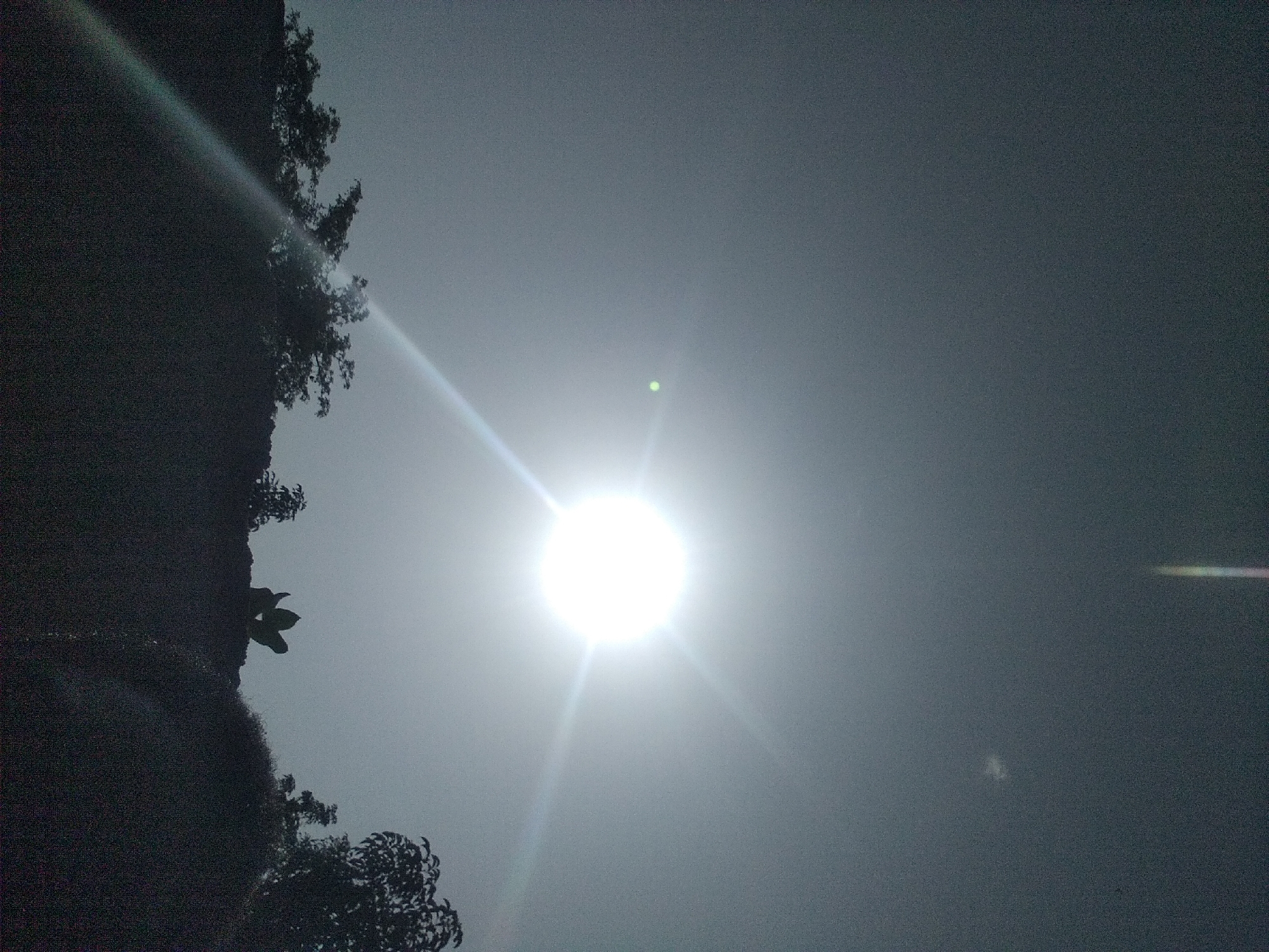 This media file is a photograph taken from Jalingo, Nigeria, looking upwards towards the sky. The sun is the dominant subject, appearing as a bright, luminous orb at the center of the frame, emitting intense rays of light that create lens flares. The sky is overcast and hazy, obscuring any clear view of the sun's disk and creating a diffused, bright atmosphere.
On the left side of the image, a large, dark silhouette of what appears to be a tree or dense foliage occupies a significant portion of the frame. The texture of this dark mass suggests rough bark or dense leaves. Silhouettes of branches and leaves are visible against the bright sky.
The overall scene evokes a feeling of a very bright, possibly midday, with hazy atmospheric conditions. The high contrast between the bright sun and the dark silhouette suggests a time when the sun is high in the sky. The presence of foliage indicates an outdoor setting, likely in a natural or semi-natural environment within Jalingo. There is no visible text in the image.