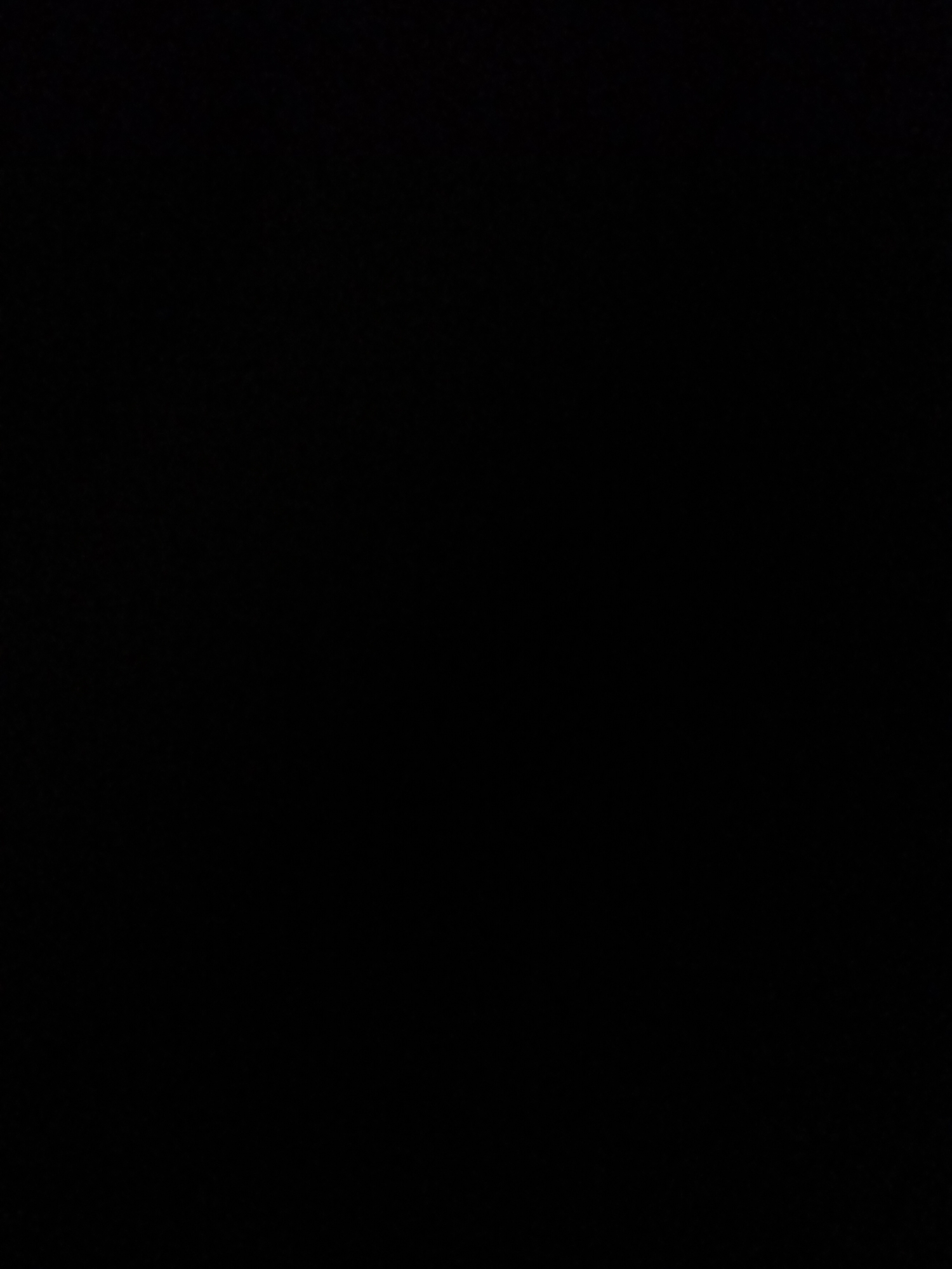 The media file is a completely black image, devoid of any visual information. There are no discernible subjects, objects, scenes, or settings present. Consequently, no activity or event can be identified, and there are no notable details such as time of day, weather, location cues, or emotions. Similarly, there is no visible text within the image. The file appears to be a blank or corrupted image file.