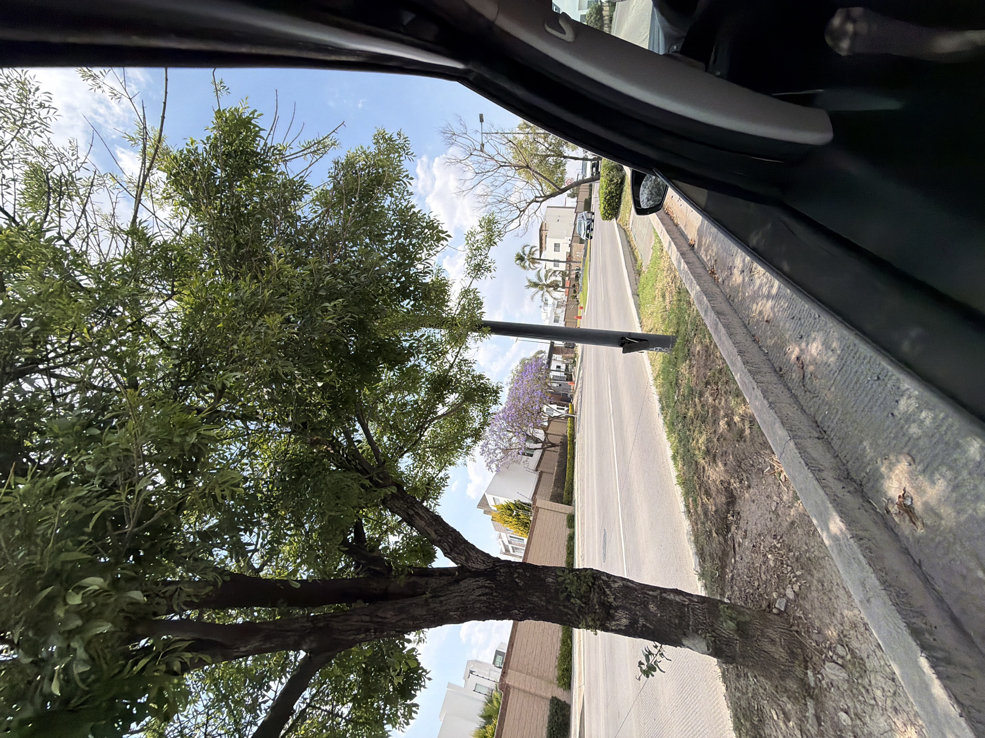 View from inside a vehicle overlooking a street in Santa Clara Ocoyucan, Mexico. The street is bordered by sidewalks and walls concealing houses. A mature tree stands beside the road, its branches partially obscuring the view. A Jacaranda tree in full bloom is visible in the distance, adding a touch of purple to the scene. A streetlight is also present.