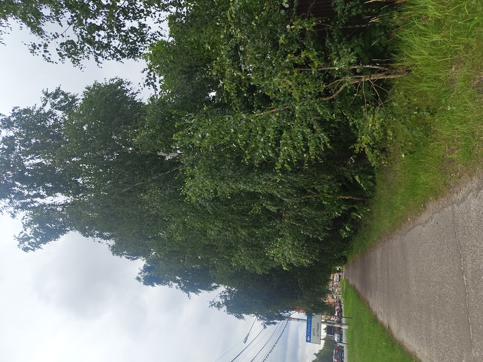 The image depicts a sidewalk lined with lush green trees and grass, suggesting a natural or park-like setting within the city of Dergayevo, Russia. The cloudy sky indicates an overcast day. A street sign with Russian text and an arrow points to the left, indicating directions. Cars are visible on the road to the left of the sidewalk, implying an urban environment. The scene is peaceful and suggests a calm day.