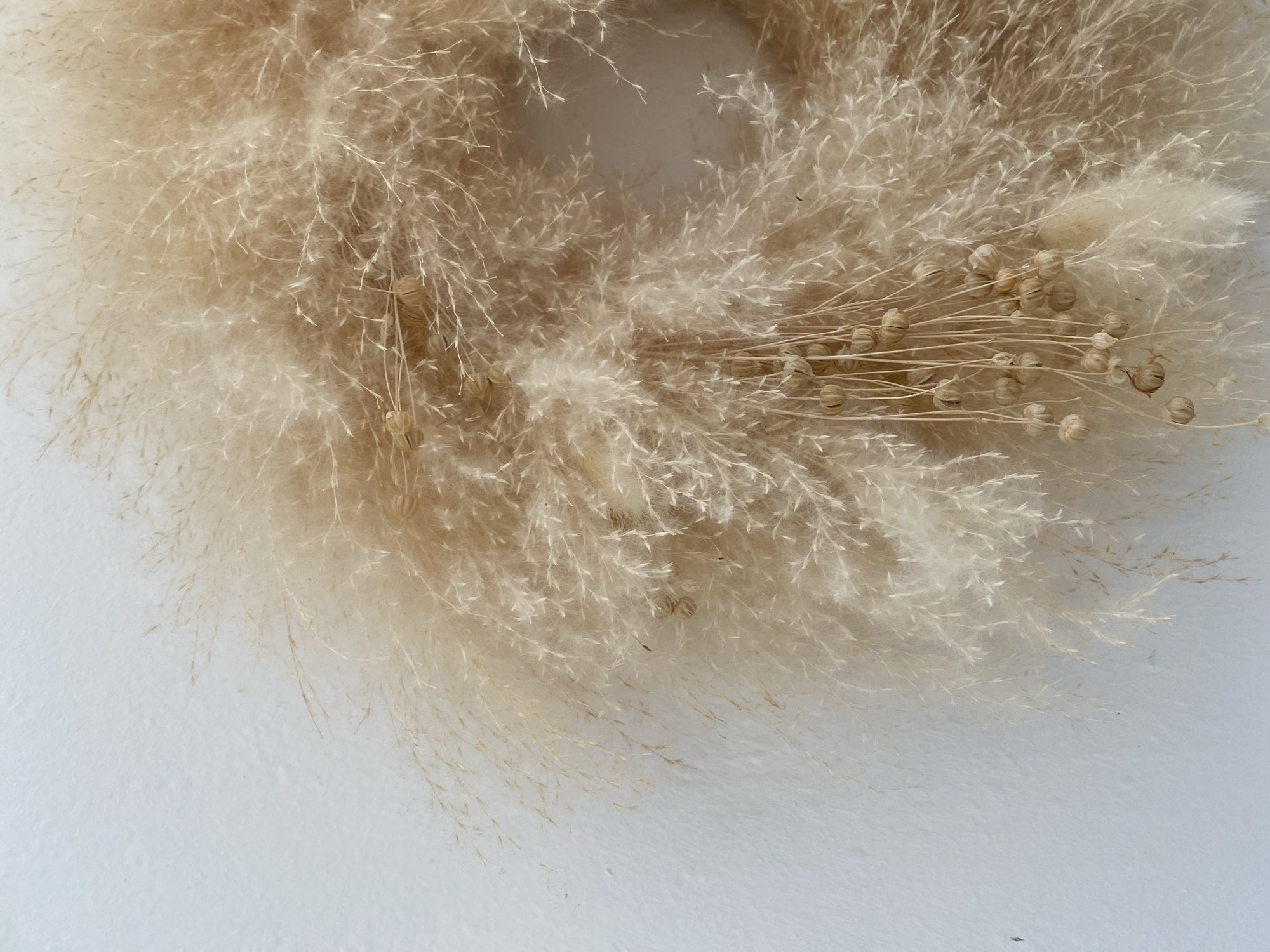 The image is a close-up of a dried pampas grass wreath hanging on a textured white wall. The wreath is round and made of fluffy, light brown pampas grass plumes. Dangling from the bottom of the wreath are several thin stems, each with small, bulbous seed pods. The lighting is soft and natural, casting subtle shadows on the wall, highlighting the texture of both the wall and the pampas grass. The scene appears to be indoors, likely in a home or a decorative display. There are no people or animals present, and no actions are taking place. The focus is entirely on the decorative wreath and its texture. The location in Bad Sachsa, Germany is not discernible from the image itself.
