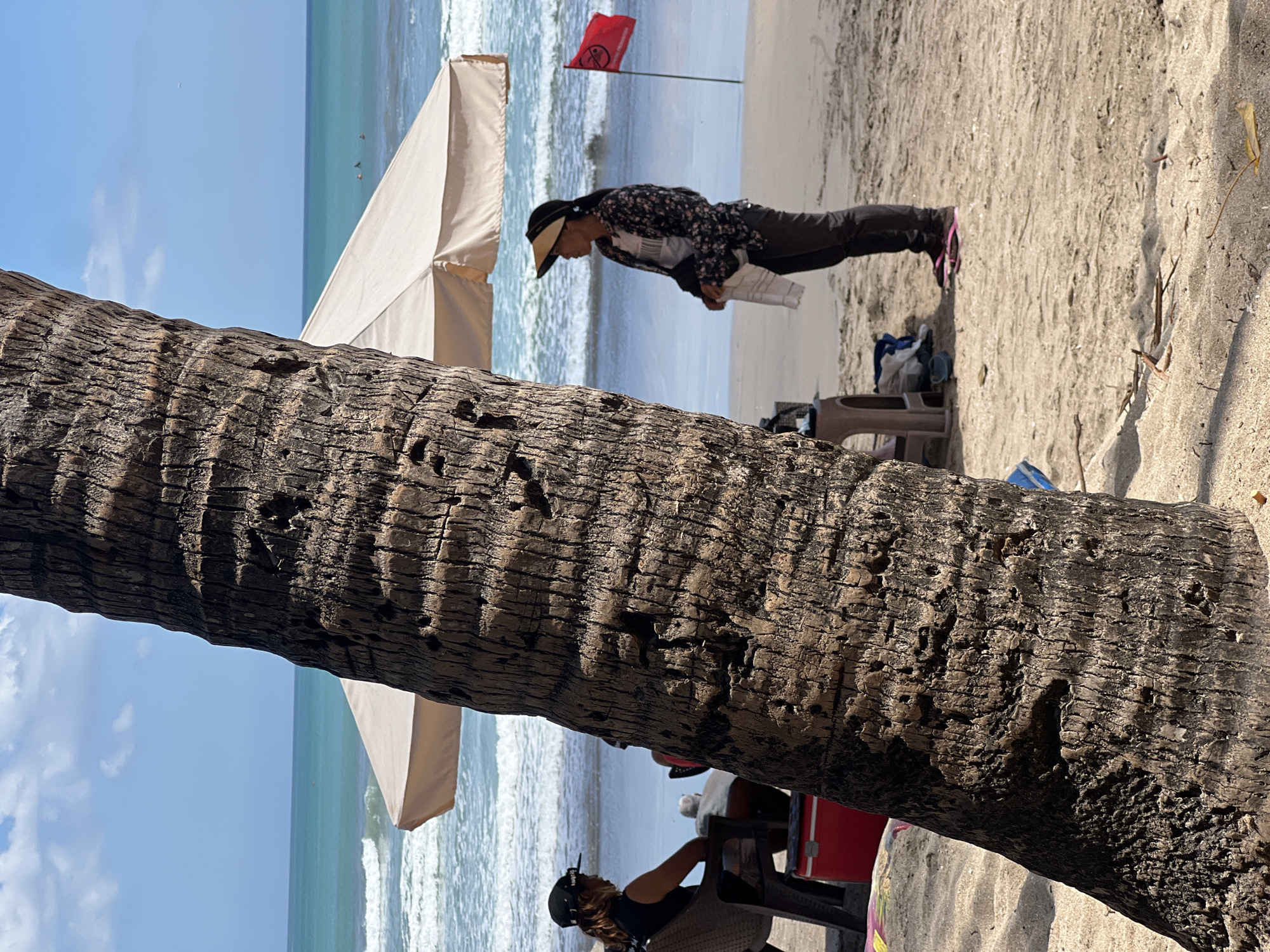 A beachfront scene in Kuta, Indonesia, is captured, featuring a prominent palm tree trunk in the foreground. In the middle ground, a beach umbrella provides shade over a sandy area. To the left, a person wearing a black tank top and a black baseball cap sits on a plastic chair, facing away from the camera, with a red cooler box beside them. To the right, a person stands facing the ocean, wearing a sun visor, a patterned long-sleeved shirt, dark pants, and pink flip-flops. This person holds a white object, possibly a towel or piece of paper. A red flag is planted in the sand to the right of this individual. The background shows the ocean with gentle waves and a clear blue sky.