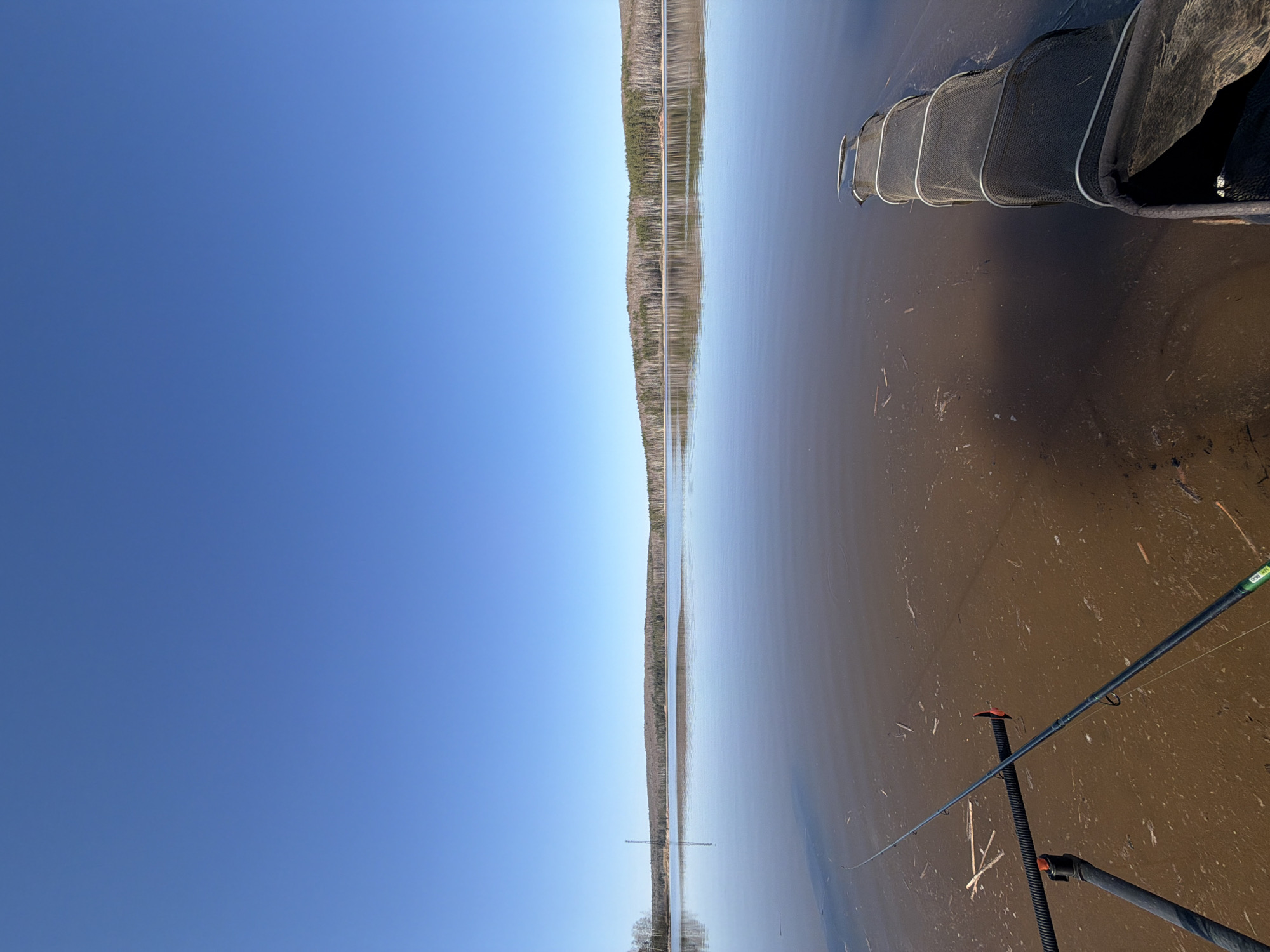 The image captures a landscape with a clear blue sky occupying the left half of the frame. A body of water extends across the center, reflecting the sky and the trees on the opposite bank. The water is murky with some debris visible near the shoreline. A treeline runs along the horizon, suggesting a forest or wooded area. A fishing rod is visible along the bottom right of the image, along with what appears to be a fishing net. The picture could be located in the city of Chaikovsky, Russia, given the prompt.