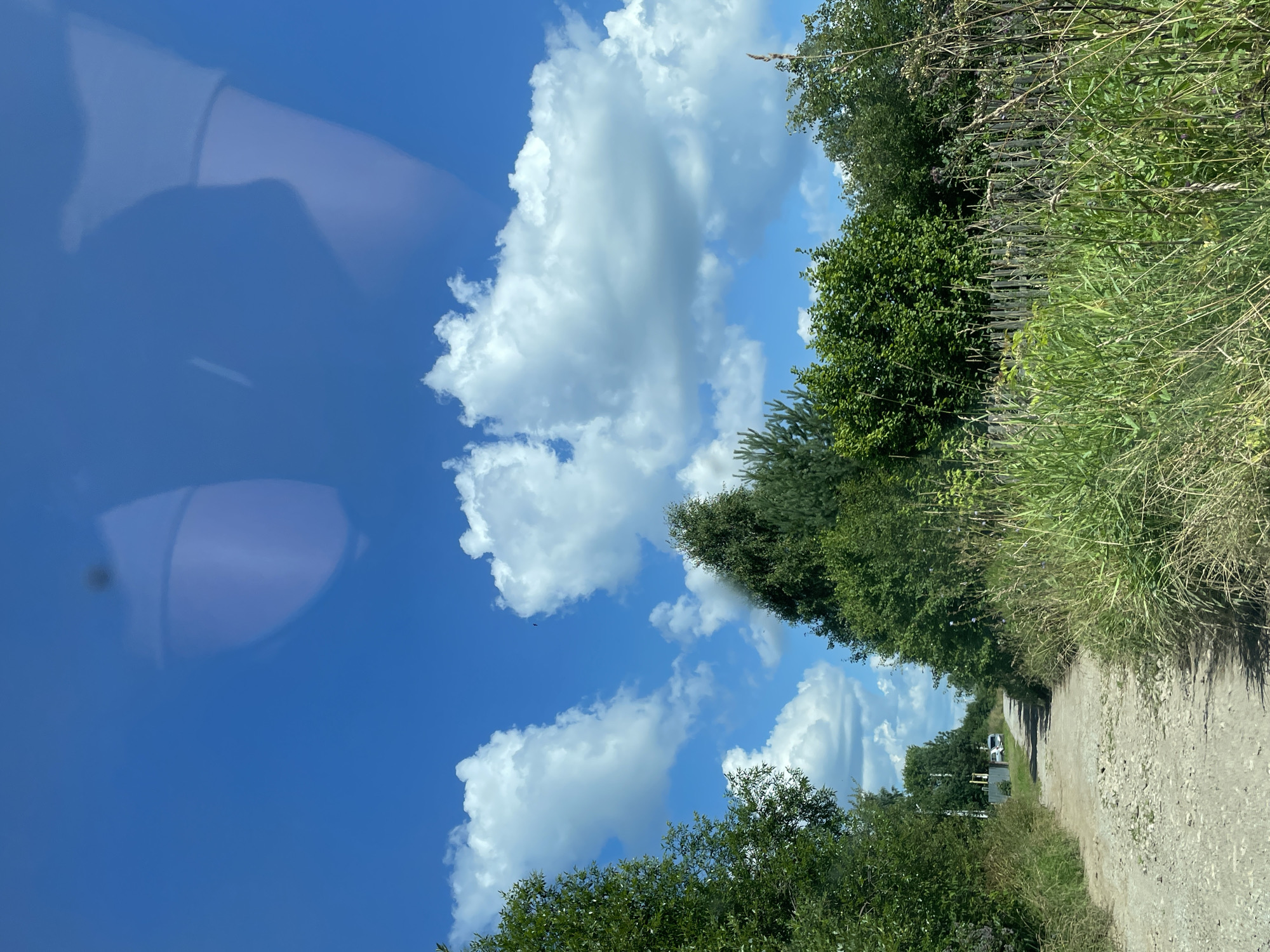 A dirt road winds through a rural area, flanked by tall grass and trees. The sky is a vibrant blue, dotted with fluffy white clouds. In the distance, a white vehicle is parked near a fence. The scene appears to be from the village of Дресвяново, Russia. Reflections of what appear to be people are visible in the upper part of the image, suggesting the photo was taken from inside a vehicle or through a window.