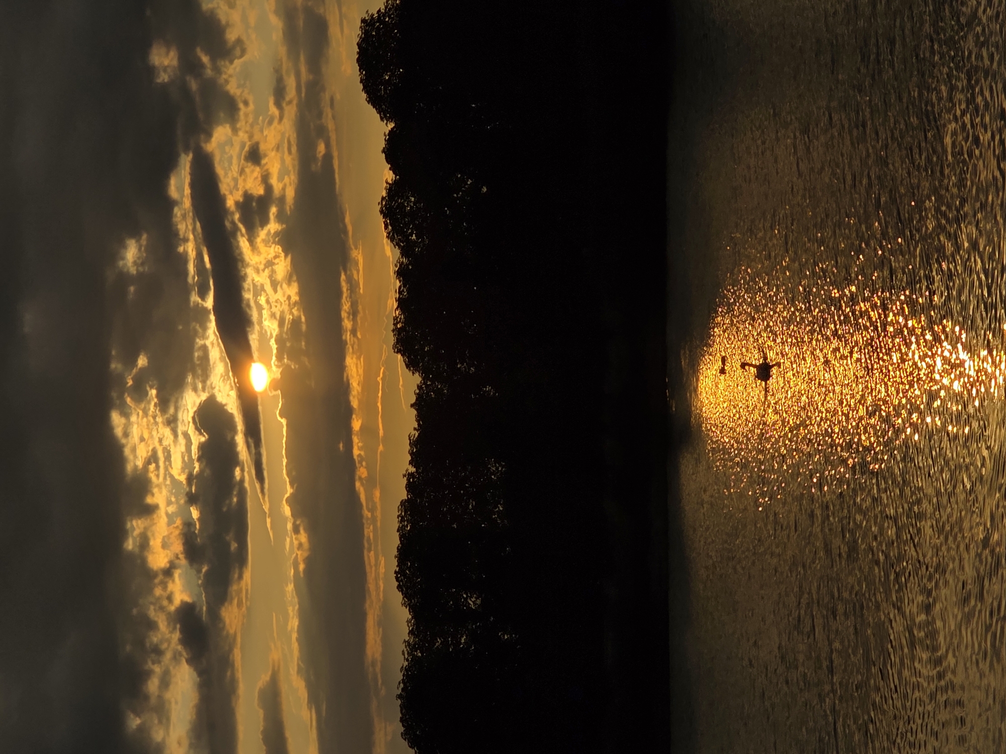 A vertical, full shot captures a tranquil lake at sunset. The sun, partially obscured by dark, dramatic clouds tinged with orange and gold, casts a shimmering, golden path across the water's surface. A lone swan with its cygnets gracefully navigates the illuminated water, their dark silhouettes stark against the bright reflection. The far bank of the lake is lined with a dense, silhouetted forest, its dark foliage creating a dramatic backdrop against the vibrant sky.