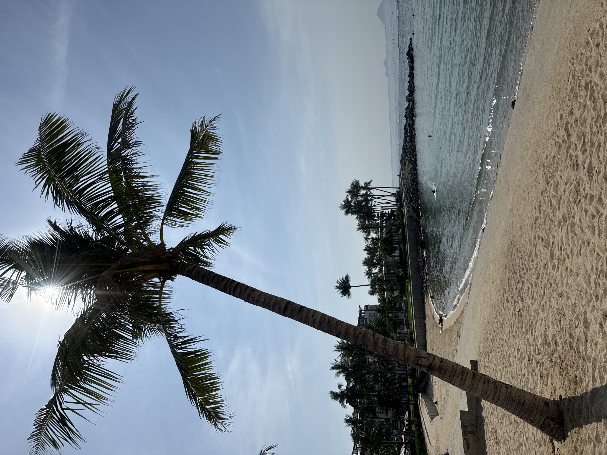 The image depicts a sun-drenched tropical beach with a leaning palm tree in the foreground. The sandy beach curves gently towards a calm, blue ocean. In the distance, several palm trees and modern buildings are visible along the shoreline, suggesting a resort or populated area. The water is clear and reflects the bright sky. A rocky breakwater extends into the sea, and a few small islands or landmasses are visible on the horizon. Two individuals are in the water, one appearing to be swimming. The scene conveys a serene and inviting beach atmosphere. This location is identified as Bac Nha Trang Ward, Vietnam.