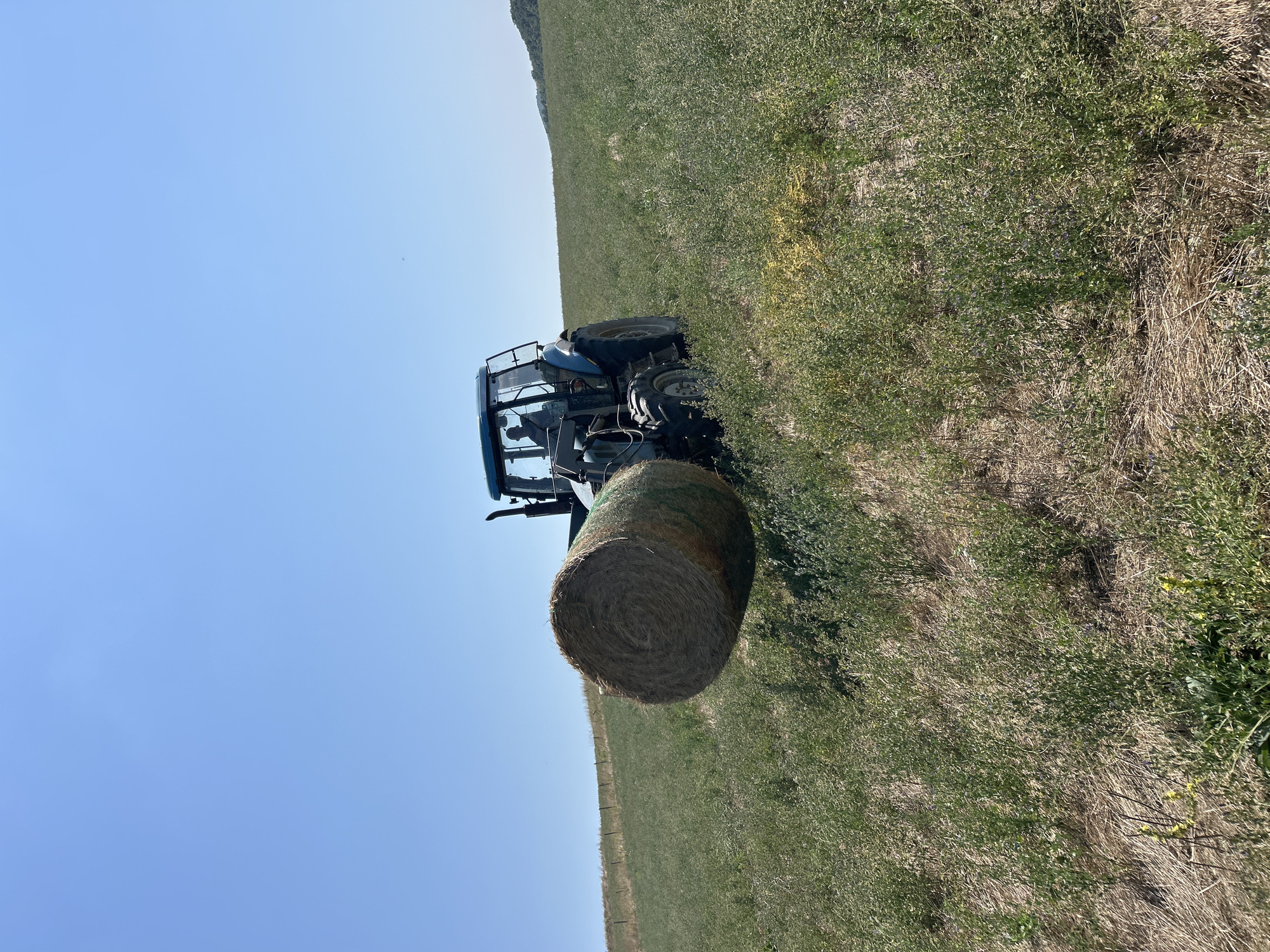A blue tractor is positioned on a grassy slope, with a large, round bale of hay attached to its front loader. The hay bale is covered in green netting. A person is visible inside the tractor's cab. The scene is set under a clear blue sky, with rolling hills in the background. The foreground consists of dense, green grass interspersed with dry, brown vegetation. The image was taken in the city of Poroy, Bulgaria.