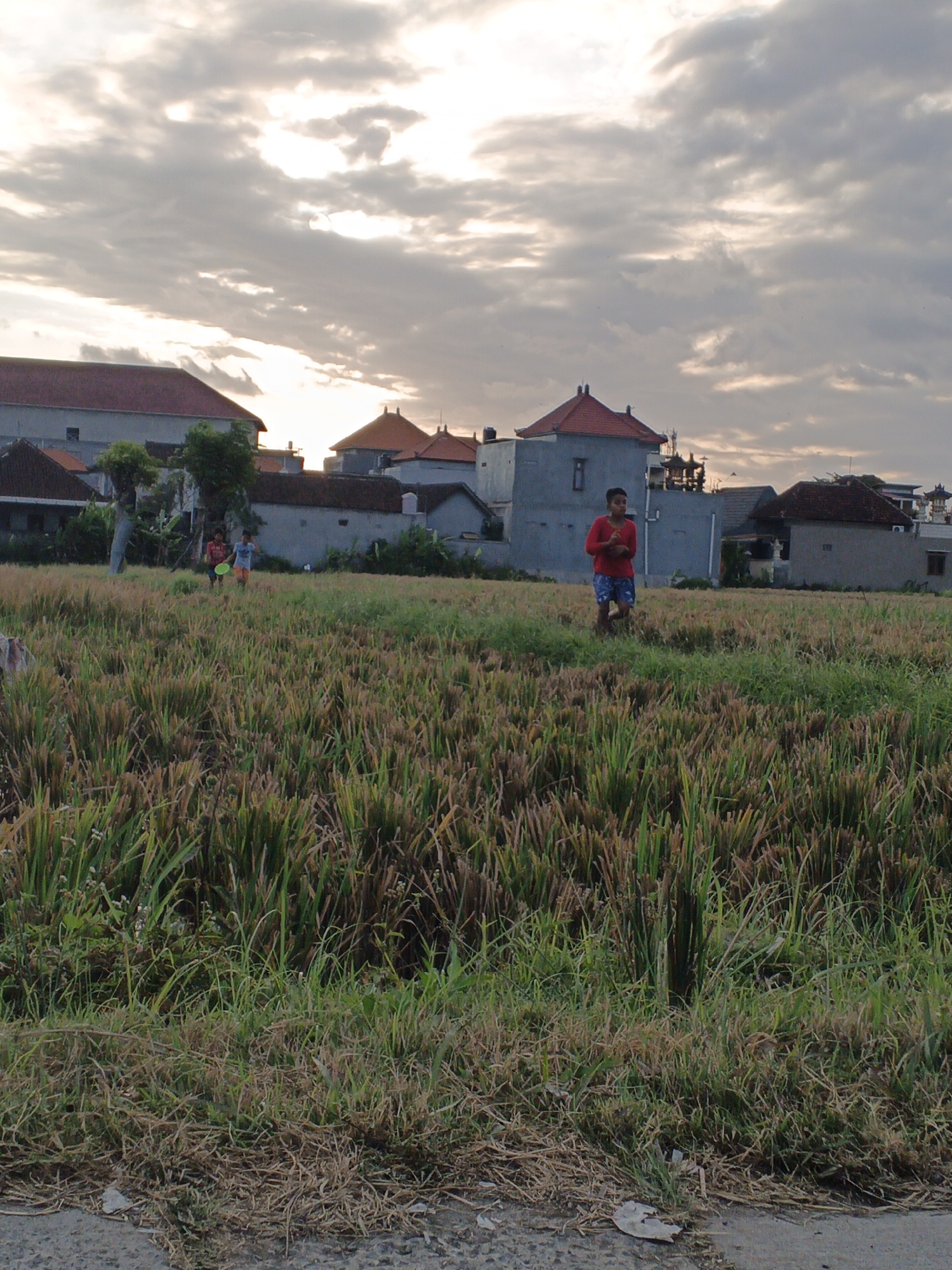 In the city of Sukawati, Indonesia, a young person in a red shirt and blue shorts stands in a field of dry rice stalks. The field is bordered by a gray asphalt surface and a variety of buildings with terracotta roofs. The sky is overcast with the sun visible through the clouds, suggesting either early morning or late afternoon light. Two other figures, appearing to be children, are visible in the background, one holding a yellow disc, likely a frisbee, as they walk through the field. The overall scene depicts a rural or semi-rural setting with residential structures and agricultural land.