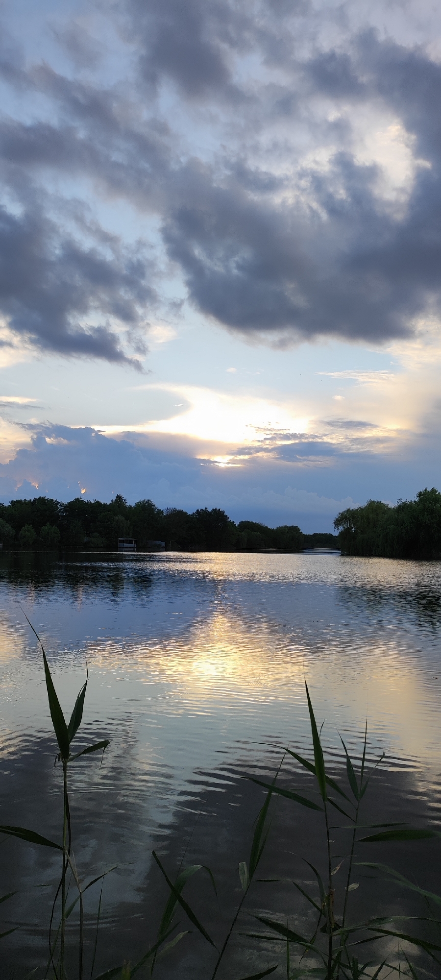 The image depicts a serene lake scene at dusk, with dramatic clouds reflecting on the calm water. In the foreground, tall reeds or grasses are silhouetted against the water. The middle ground shows a dense line of trees forming the shoreline, with a small structure visible amongst them. The background is dominated by a vast sky filled with a mixture of dark, heavy clouds and patches of lighter, illuminated sky where the sun appears to be setting. The reflection of the sunset and clouds creates a shimmering, golden pathway across the lake's surface. The overall impression is one of natural beauty and tranquility. The image is located in the vicinity of Plastunovskaya, Russia. There are no people or visible actions occurring in the scene.