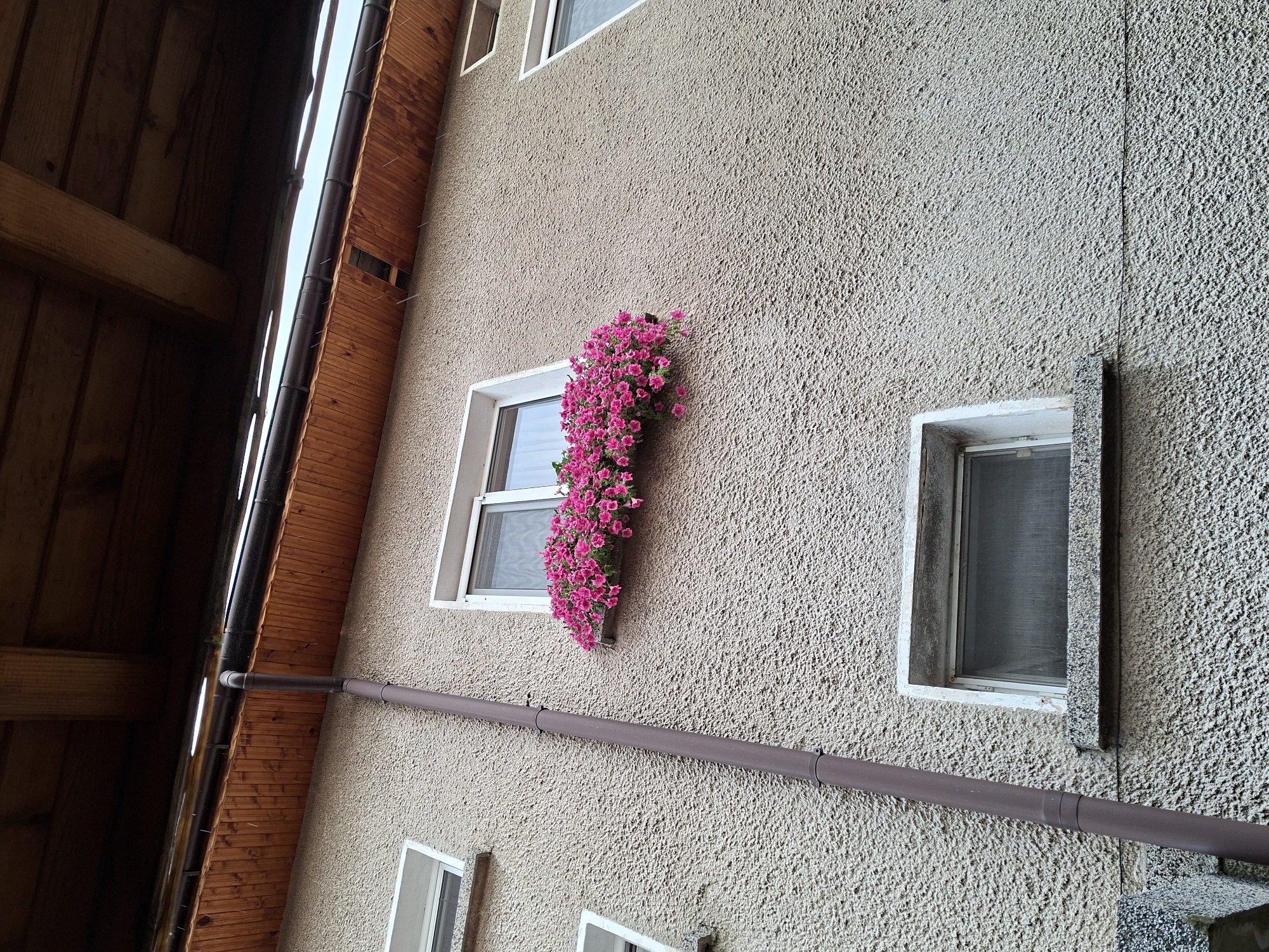 The image shows a textured, light-colored building facade with multiple windows and a wooden soffit overhead. A brown downspout runs vertically along the wall. In the upper right section of the facade, a window box filled with vibrant pink flowers is visible. Below this, another window is present. The overall scene appears to be an exterior view of a residential or commercial building.