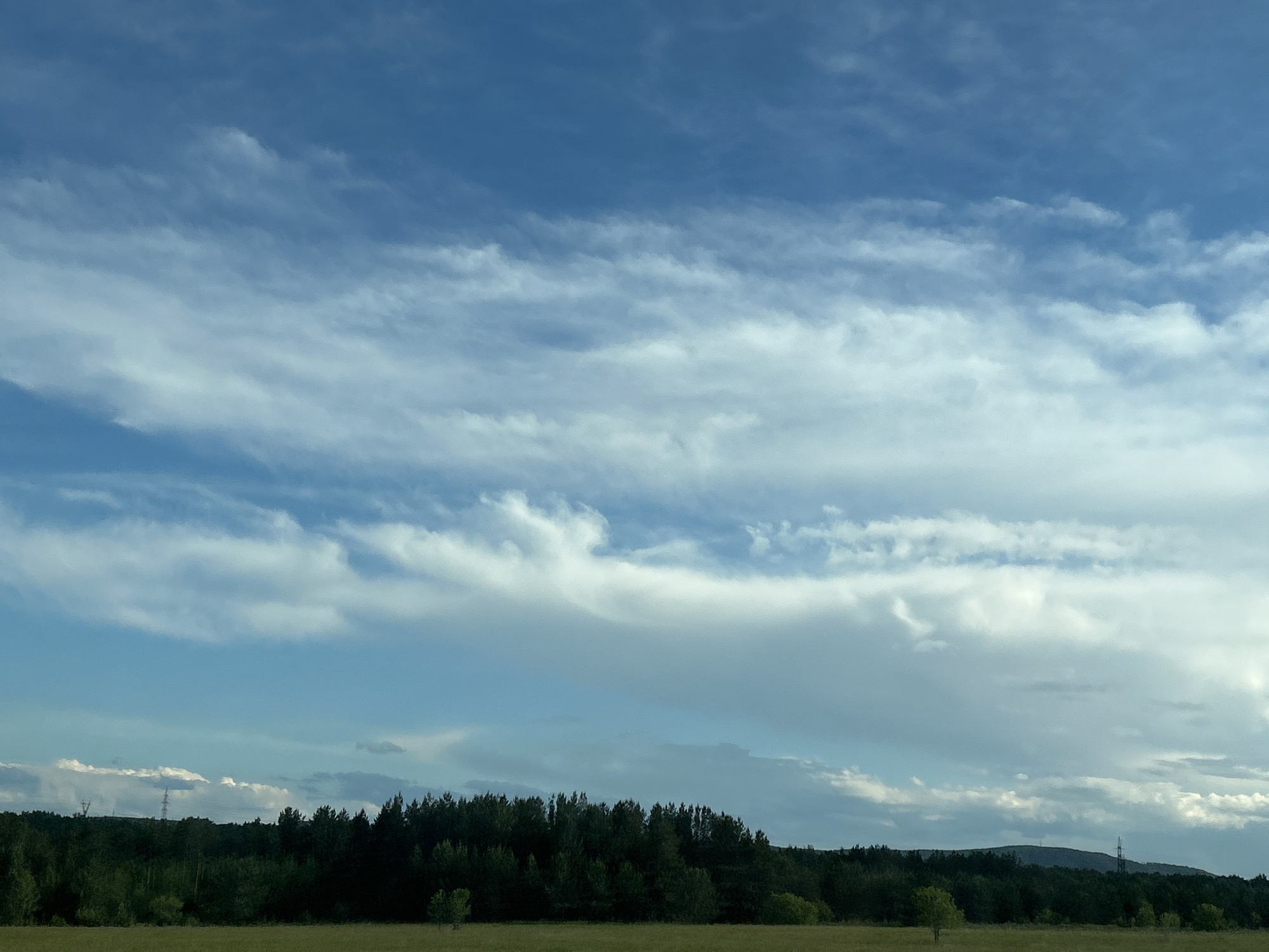 The image shows a daytime scene of a landscape in Malaya Tsarevschina, Russia. A field of low-lying vegetation occupies the foreground. Behind the field is a dense line of trees, marking the horizon. The sky dominates the upper portion of the image, filled with wispy, horizontal clouds. In the distance, subtle power line towers are visible, and a faint mountain can be seen on the horizon.