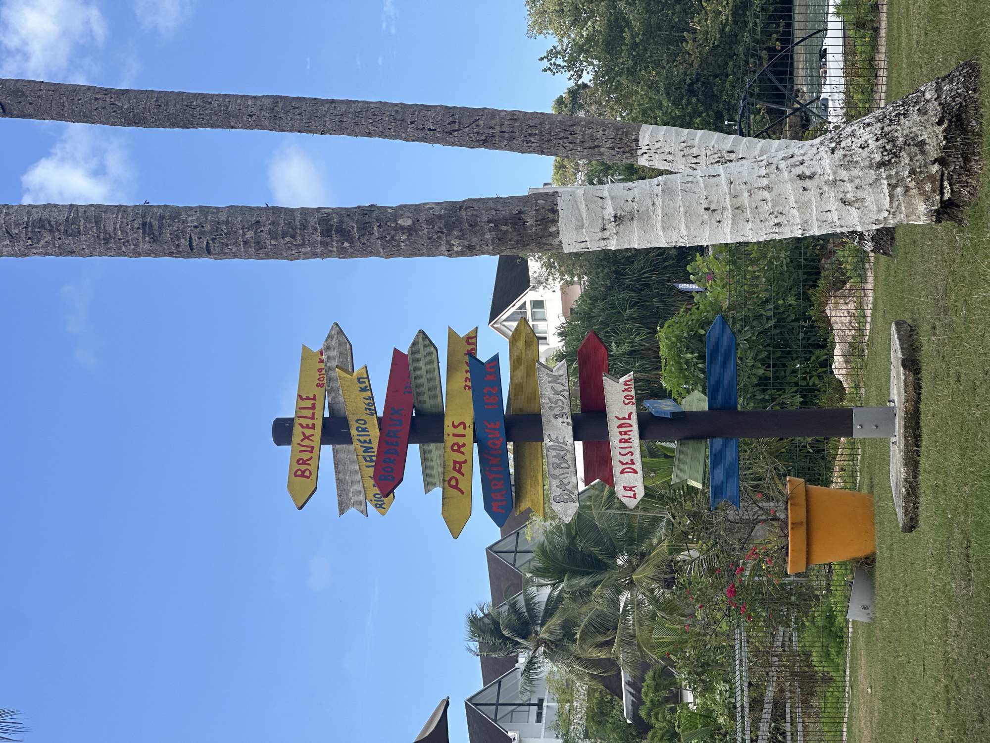 The image captures a signpost indicating distances to various cities, with the sign reading "BRUXELLE 8019 KM," "RIO DE JANEIRO 4764 KM," "BORDEAUX," "PARIS," "MARTINIQUE 182 KM," "BARBADE 305 KM," and "LA DESIRADE 50 KM." The signpost is located in Le Gosier, France. It is set against a backdrop of palm trees and clear blue sky, with some foliage and buildings partially visible in the background. The signpost itself is multi-colored, with directional arrows pointing in various directions. A large yellow pot is situated near the base of the signpost.