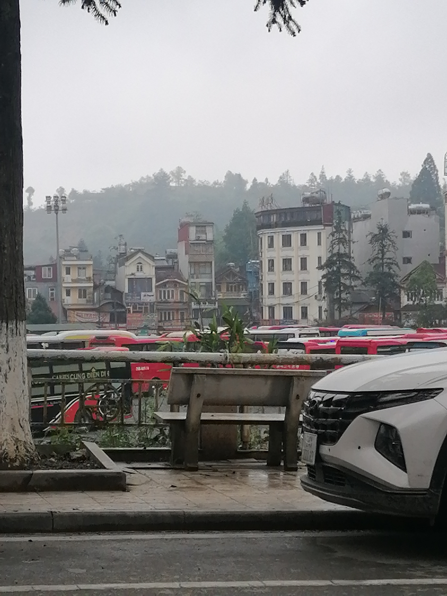 The photograph captures a street scene in Sa Pa Ward, Vietnam, set against a backdrop of buildings and misty hills. In the foreground, a white car is parked on the right, with a grey stone bench and planter situated behind it. A tree trunk is partially visible on the left side of the frame. Beyond the bench and fence, there are multiple buses parked, many of which appear to be red. The urban environment consists of various buildings, varying in height and style, with the hills receding into a hazy distance. The sky is overcast, contributing to the muted color palette of the scene.