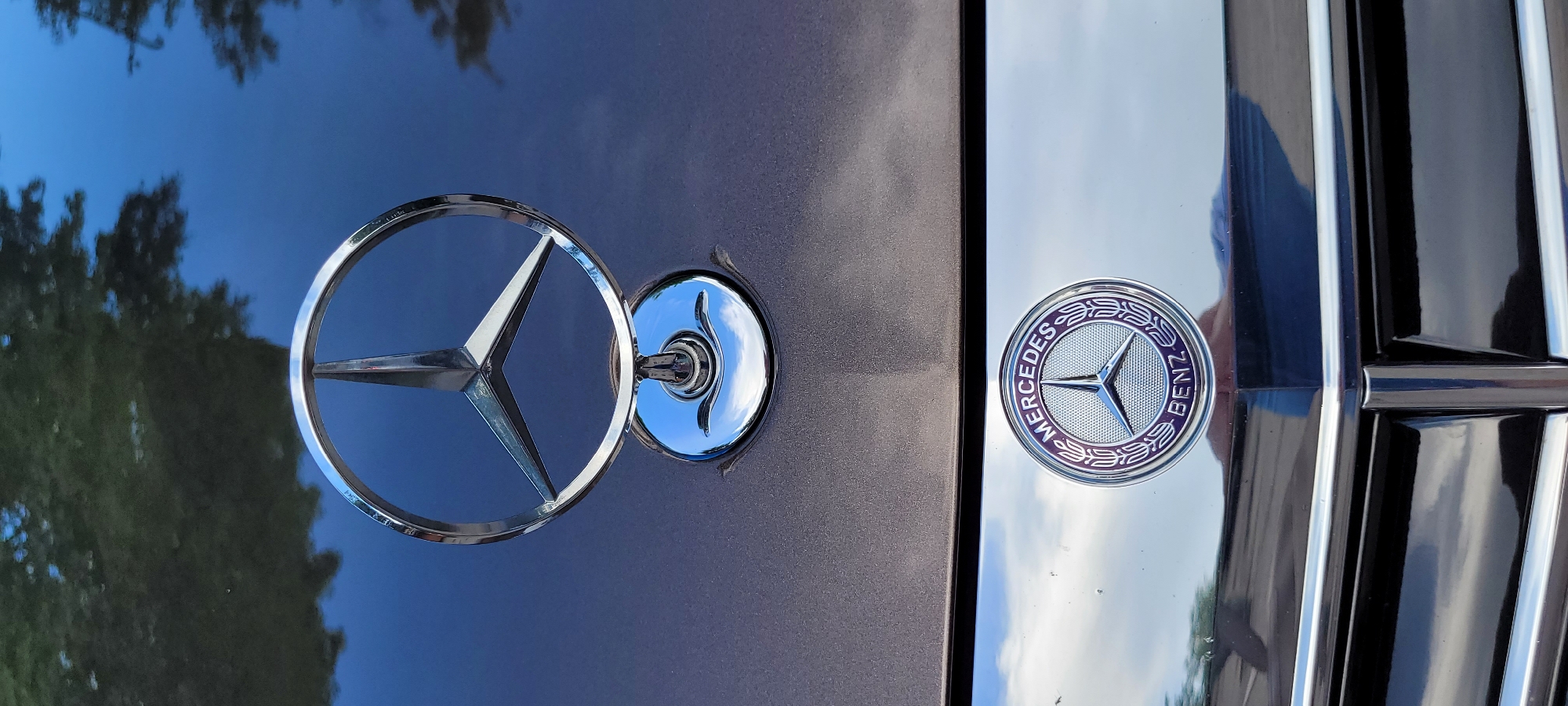 The image shows the hood ornament and grille emblem of a Mercedes-Benz automobile. The hood ornament is a chrome three-pointed star within a circle, mounted on a raised base. Below the hood ornament, on the grille, is the circular Mercedes-Benz emblem, featuring the three-pointed star surrounded by a laurel wreath and the text "MERCEDES BENZ". The car's hood is a dark, reflective color, and the grille appears to be chrome. The background shows a blurred reflection of trees and sky on the car's surface. There are no people visible in the image. The image does not contain any information indicating a location in the city of Riga, Latvia.