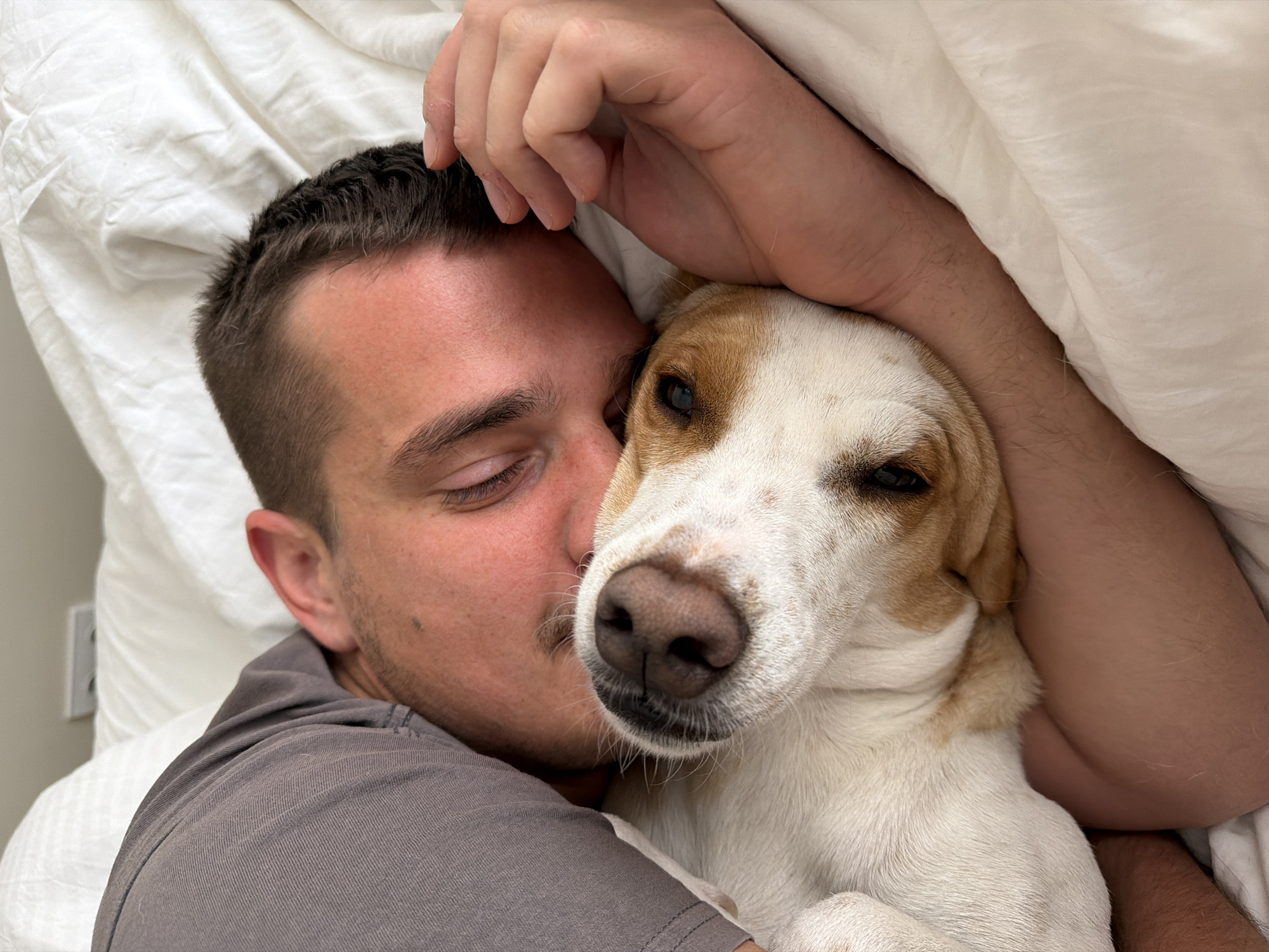 A man and a dog are lying together in a bed with white sheets. The man, who appears to be in his late 20s or early 30s, has dark hair and is wearing a gray t-shirt. He is lying on his side with his eyes closed, and his arm is around the dog. The dog, which has white and light brown fur, is resting its head on the man's chest. They both appear to be sleeping or relaxing. The scene is likely indoors, possibly in a bedroom. There is no indication of the location being Budva, Montenegro.