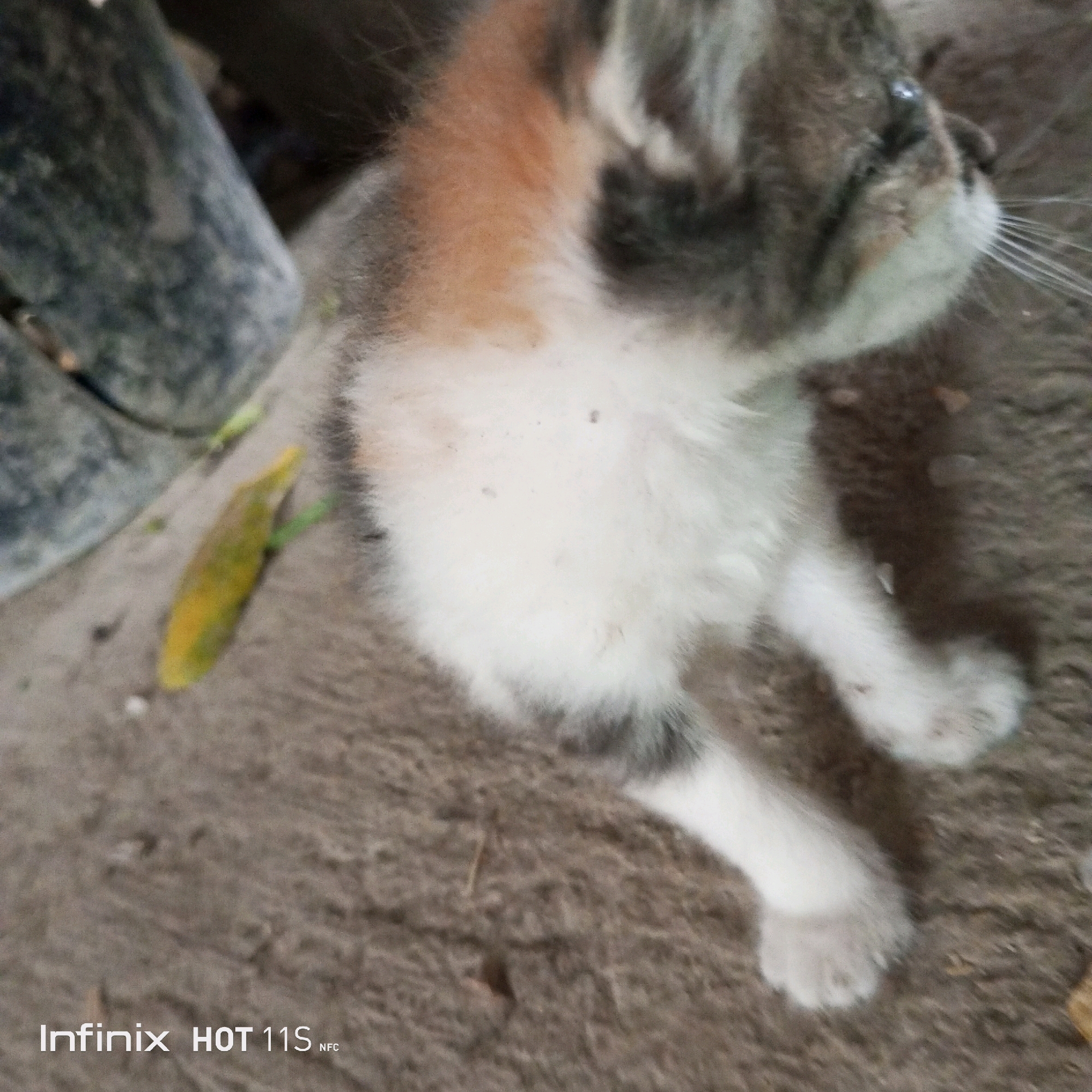 A calico kitten is lying on a dirt surface. The kitten has patches of white, orange, and gray fur. Its head is turned to the right, and its right eye is visible, appearing slightly open. Its whiskers are long and white. The kitten's body is partially visible, showing its chest and front paws. The surface it is lying on appears to be rough and dusty, with some small pieces of debris, including a yellowish-green leaf-like object, scattered around. In the background, there is a blurred dark object that might be a piece of furniture or an inanimate object, and a hint of green vegetation. The bottom right corner of the image contains text indicating "Infinix HOT 11S NFC". The scene is observed from a close-up, ground-level perspective, suggesting the photo was taken by someone kneeling or sitting. The overall impression is of a domestic or outdoor urban environment, potentially in a less-maintained area. No people are present in the frame.