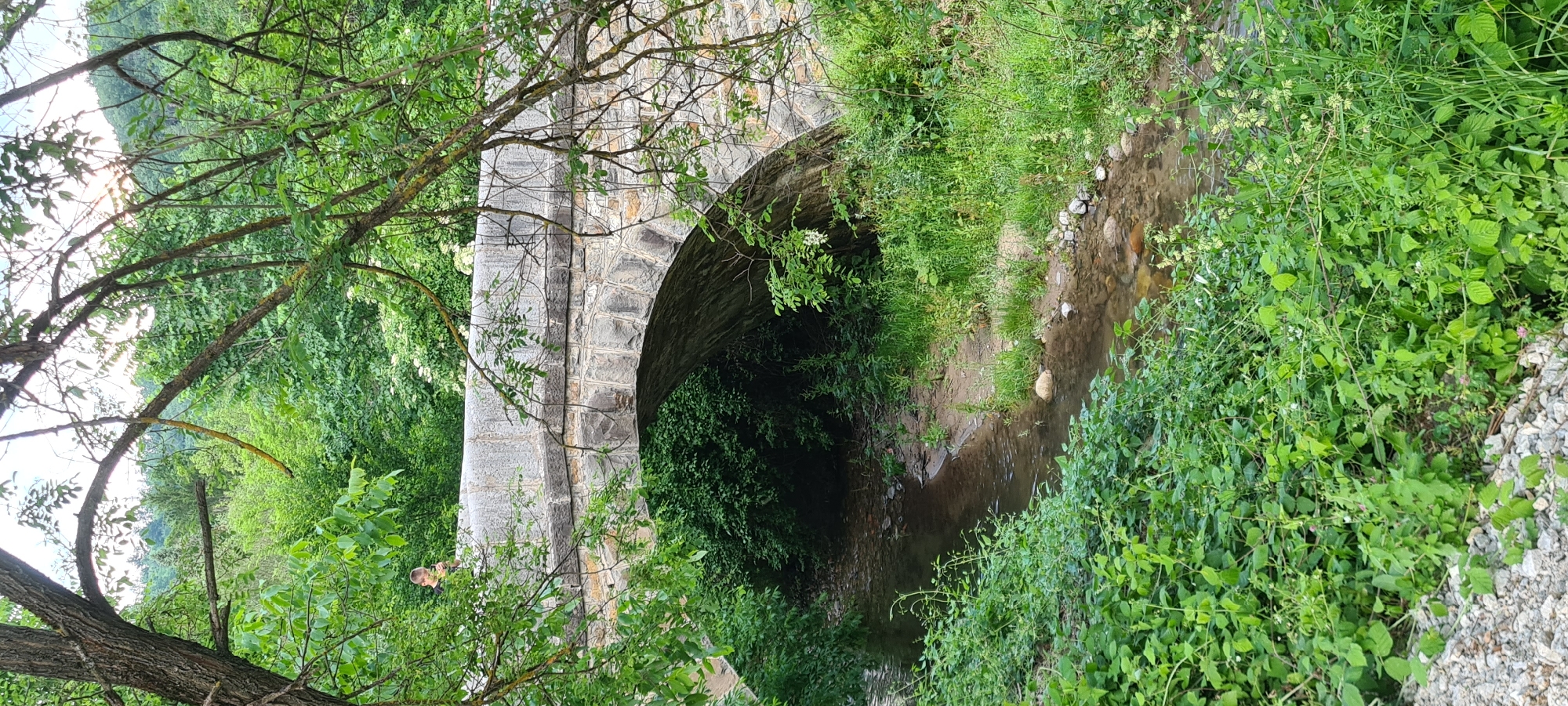 The image depicts a stone arch bridge spanning a shallow stream in a natural, heavily vegetated environment, reportedly in Lopian, Bulgaria. The bridge is constructed of rough-hewn grey stones, featuring a single arch through which the stream flows. The stream has a clear to light brown tint, indicating a rocky or sandy bed, and its banks are covered in dense green foliage and small pebbles. Lush green vegetation, including various broadleaf plants and some white flowers, dominates the foreground and lines the stream banks. Numerous tree trunks and branches frame the upper portion of the scene, some with green leaves and others appearing sparser. Beyond the bridge, a dense forest extends up a hillside under a light sky. A single individual, appearing to be a young male in a dark t-shirt, stands on the left side of the bridge's parapet, looking downward while holding a small electronic device, possibly a smartphone or camera. The scene is illuminated by natural daylight.