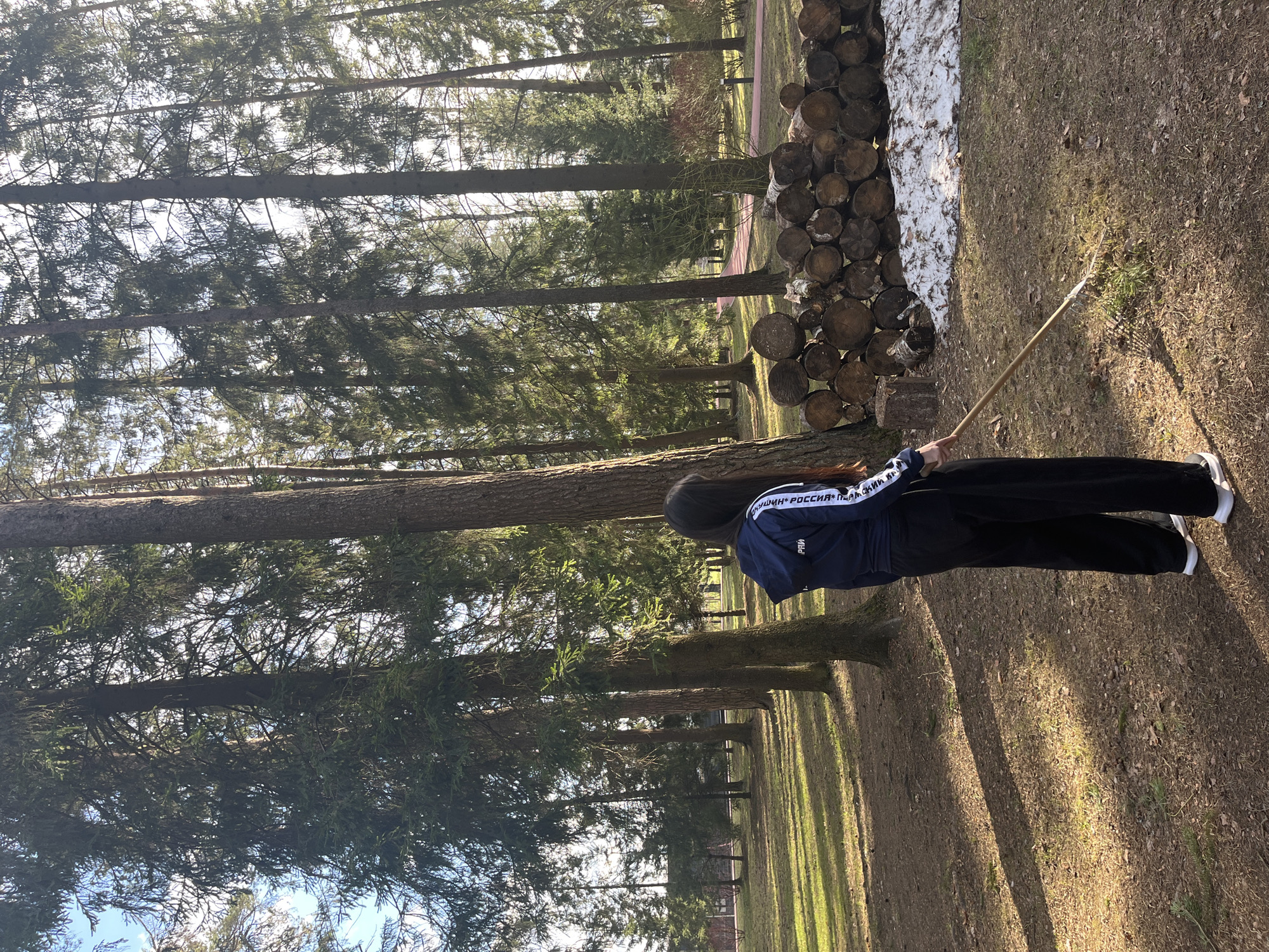 The image shows a woman raking leaves in a wooded area. The woman is wearing a dark blue jacket with white stripes on the sleeves and dark pants. She is holding a rake. Behind her, there is a stack of logs and some remaining snow. The trees are tall and green. The ground is covered in leaves and grass. The location is Zhavoronki, Russia.