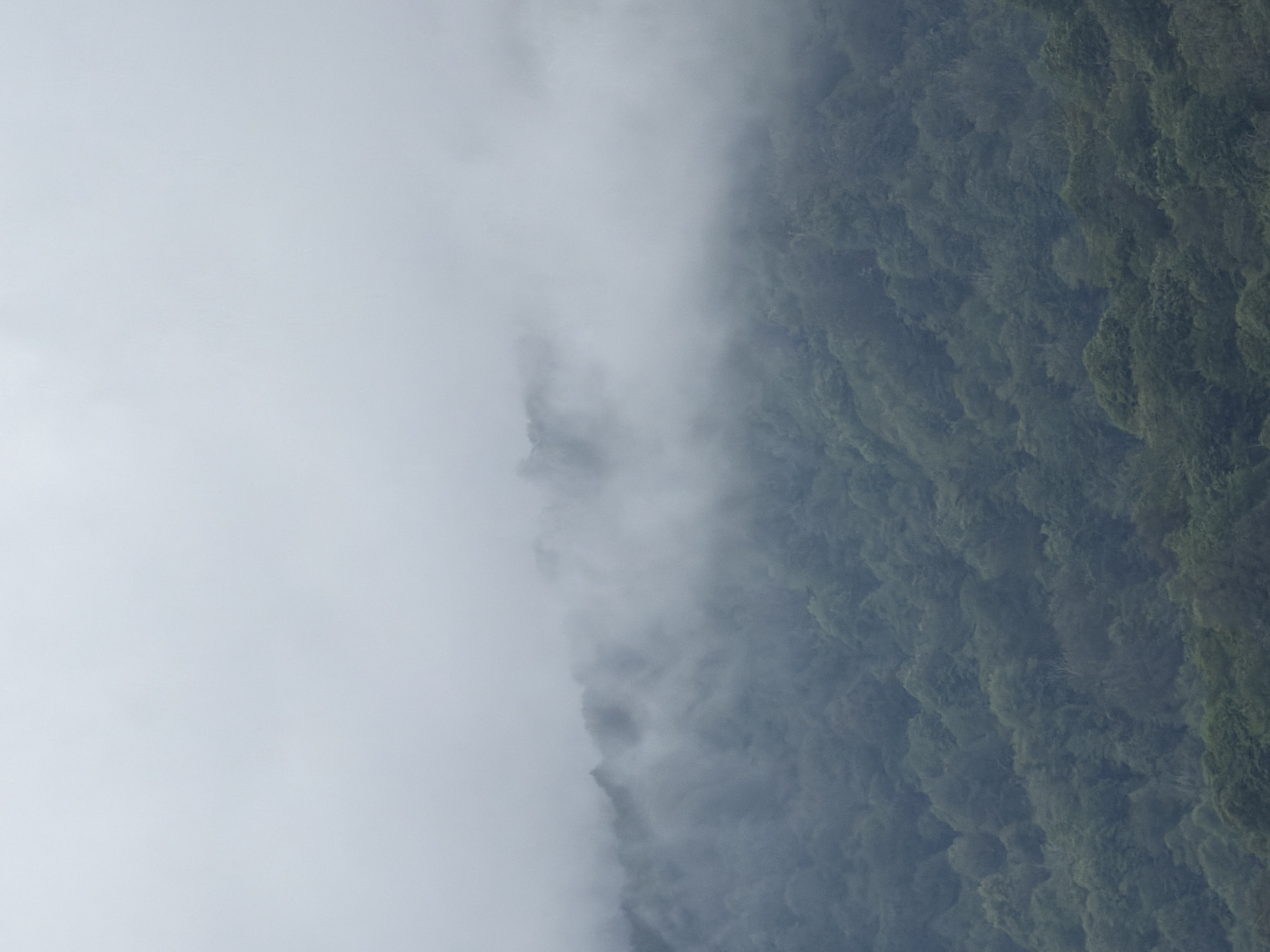 An overcast sky dominates the top half of the image, with a thick layer of fog obscuring the upper slopes of a densely forested mountainside. The fog is wispy and uneven, with patches of darker mist clinging to the ridgelines. Below the fog, the dark green canopy of trees stretches across the frame, appearing almost black in the dim light. The texture of the forest is rough and uneven, with the tops of the trees forming undulating waves. The image has a muted color palette of grays, blues, and greens, conveying a sense of dampness and mystery. The location is identified as Potskho-Etseri, Georgia, a mountainous region known for its lush forests and frequent fog.