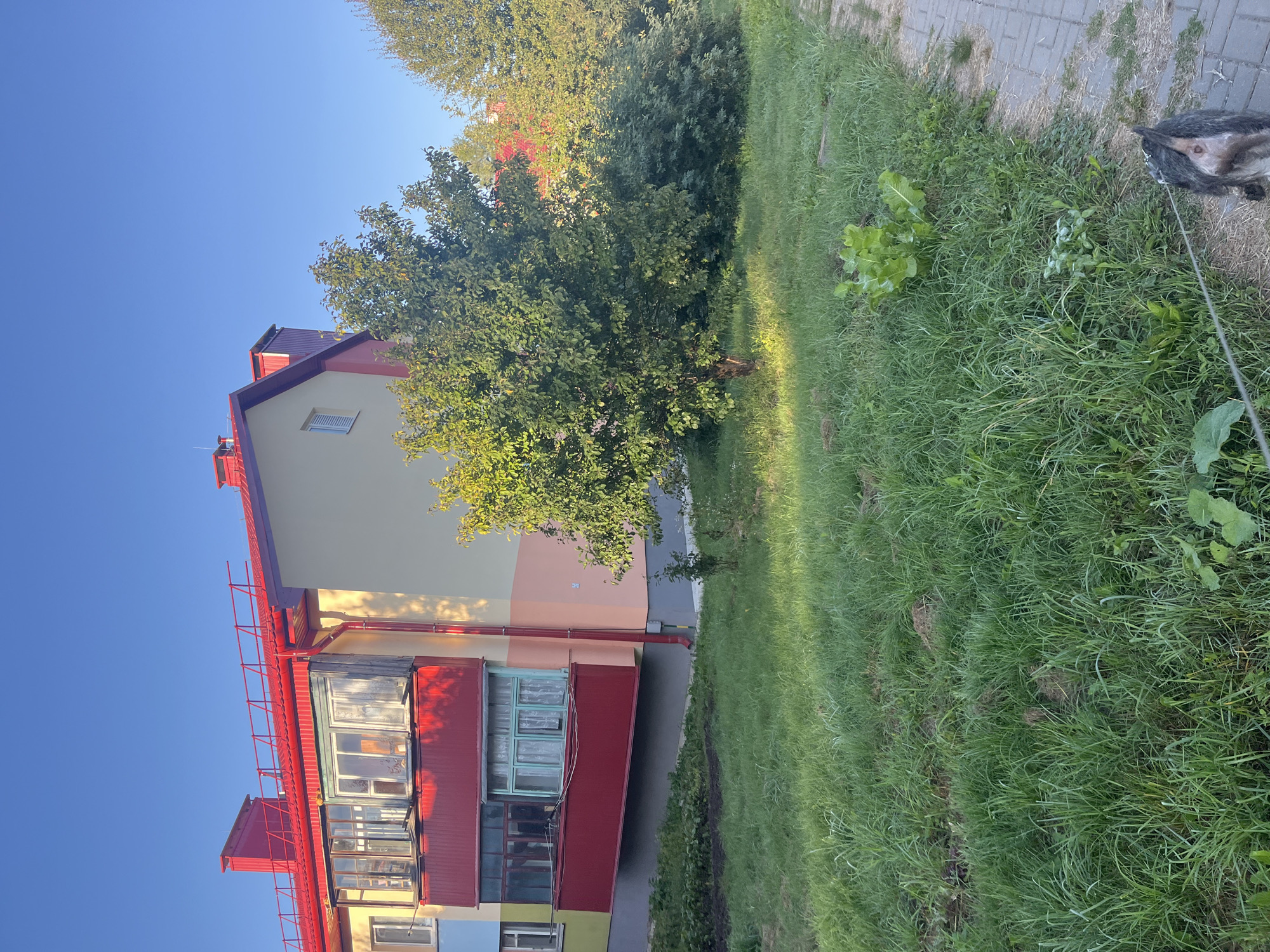 In Lahojsk, Belarus, a multi-story residential building with a vibrant red roof is situated against a clear blue sky. The building features balconies with red railings and green window frames, adding a splash of color to its pale yellow and pink facade. Adjacent to the building, a lush green lawn is interspersed with a variety of trees and vegetation. A paved walkway runs along the edge of the lawn, where a dog on a leash is visible in the foreground, facing away from the camera. The scene captures a peaceful residential area bathed in the warm light of the sun.