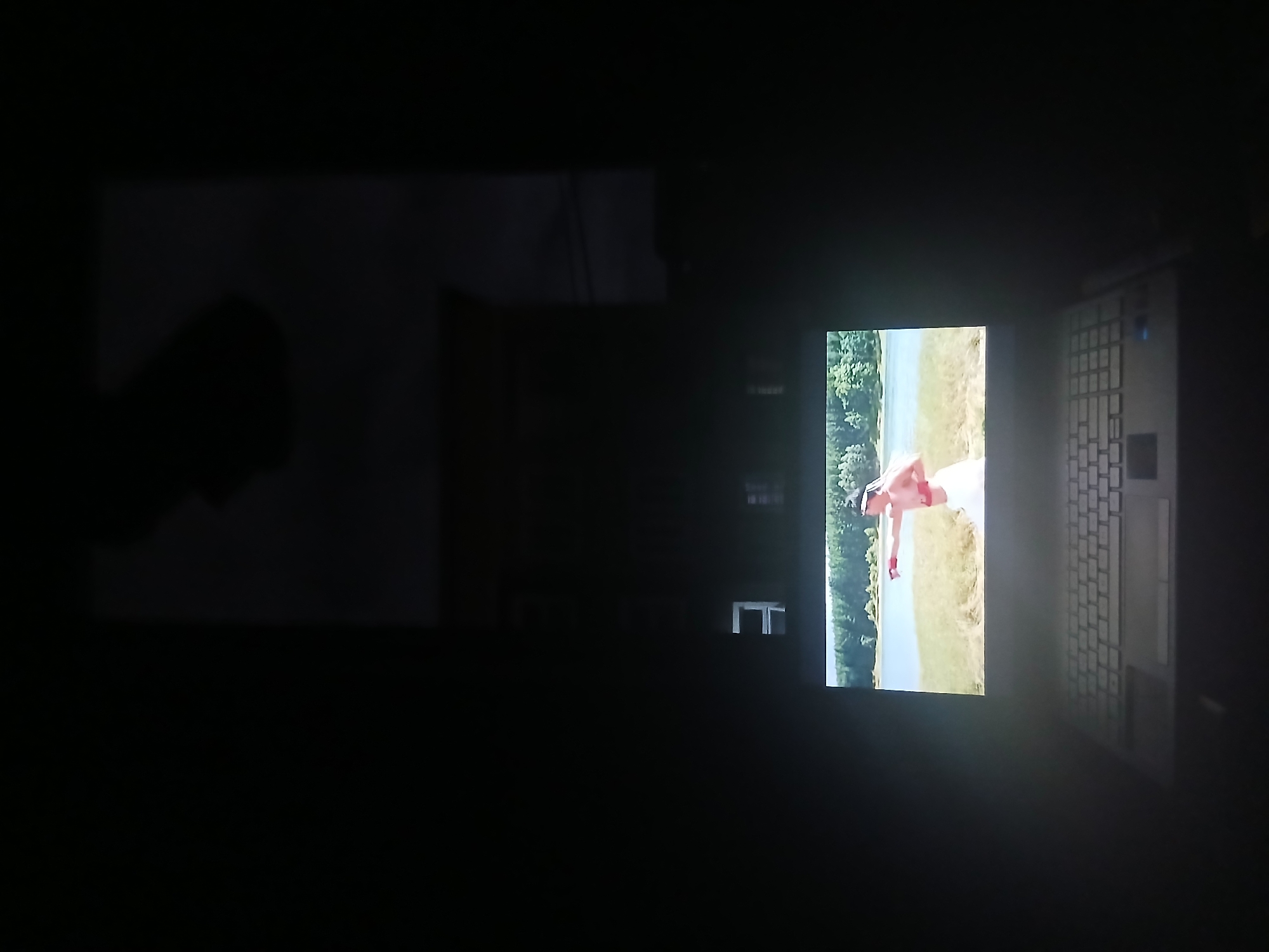 The scene depicts a silver-colored laptop resting on a dark surface, observed from a slightly elevated, frontal perspective. The surrounding environment is predominantly dark, suggesting an indoor setting with low illumination. The laptop's screen is illuminated, displaying a video.
On the laptop screen, a male individual is prominently featured in an outdoor setting. He is shirtless, wearing a white garment wrapped around his waist, and has red gloves or hand wraps on both fists. He is positioned in a martial arts stance, with his left arm extended forward as if executing a punch. The background of the video shows a body of water, likely a lake or river, bordered by a strip of light-colored, dry vegetation in the mid-ground, and a line of green trees on the distant bank under a bright sky.
No other individuals are visible in the physical environment captured by the camera. Essential details about the immediate surroundings beyond the laptop are obscured by darkness, except for very faint reflections or structural outlines above the screen. The exact location within Lagos, Nigeria, cannot be determined from the visual evidence presented.