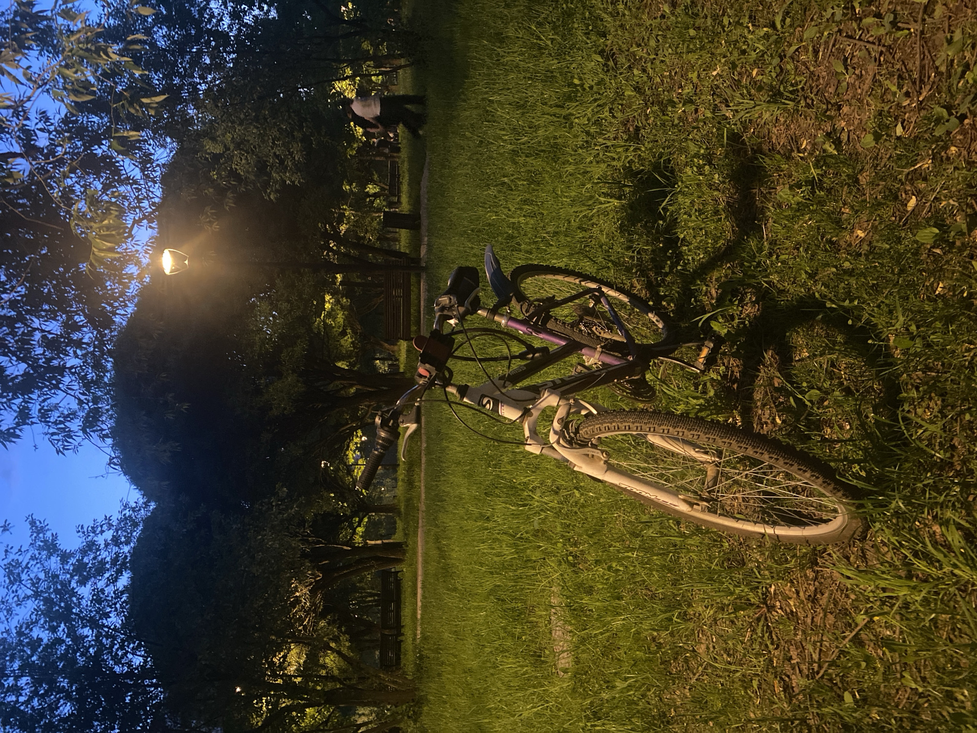 At dusk, a bicycle lies on the grass in a park. The bike is primarily white with purple accents. A light post illuminates the area, casting shadows. In the background, figures are faintly visible near a park bench. The location is possibly in a Moscow, Russia park due to the typical street lamp design and park layout. The grass is lush, and trees frame the scene.