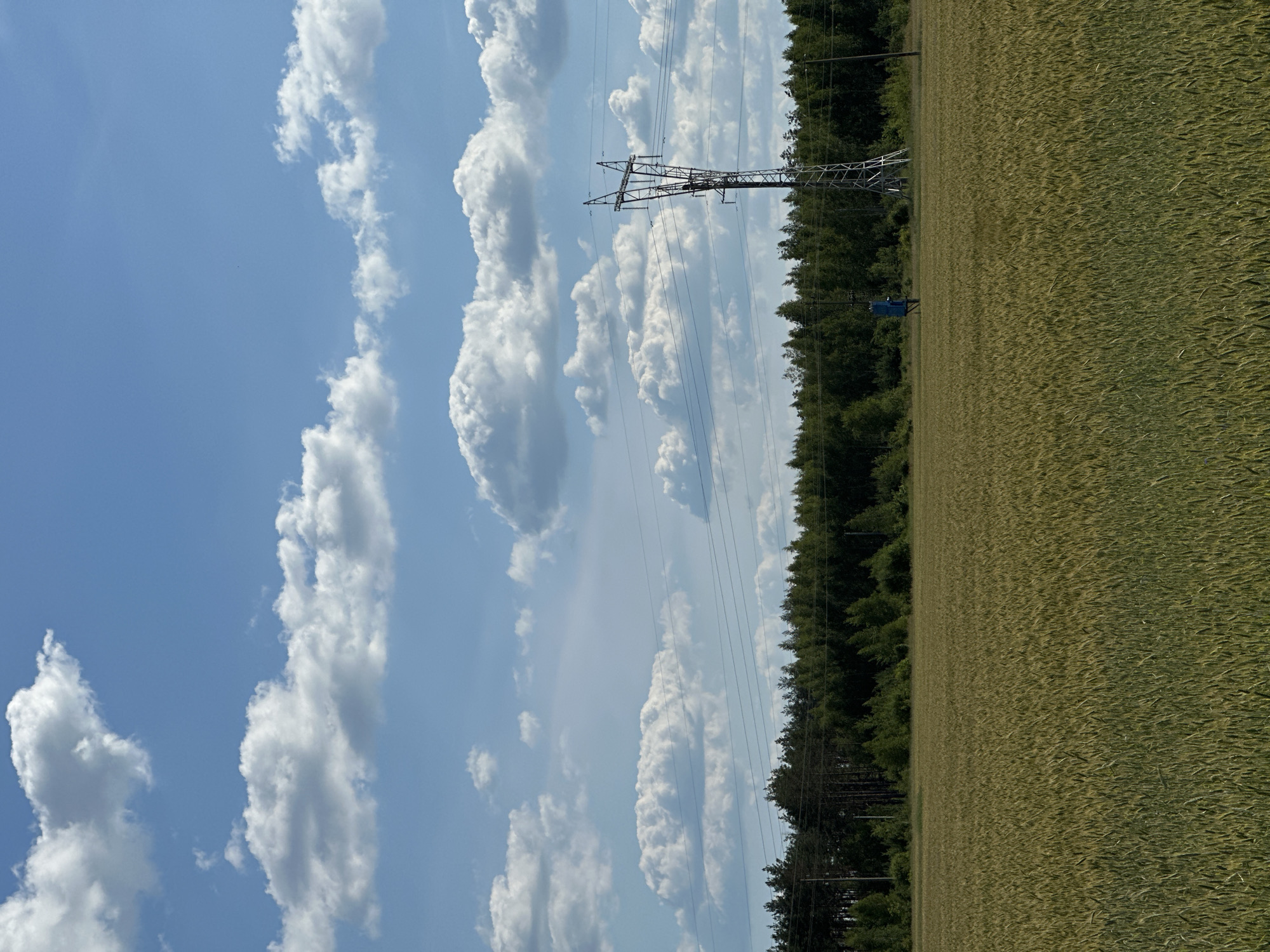 In the city of Parytsky Sel'sky Sovet, Belarus, a wide, green field of crops stretches towards a dense line of trees under a bright blue sky filled with scattered white clouds. A tall, metal electricity pylon stands in the middle right of the frame, with wires extending from it across the scene. A person in blue can be seen walking in the field, near the trees. The environment appears to be rural and agricultural.
