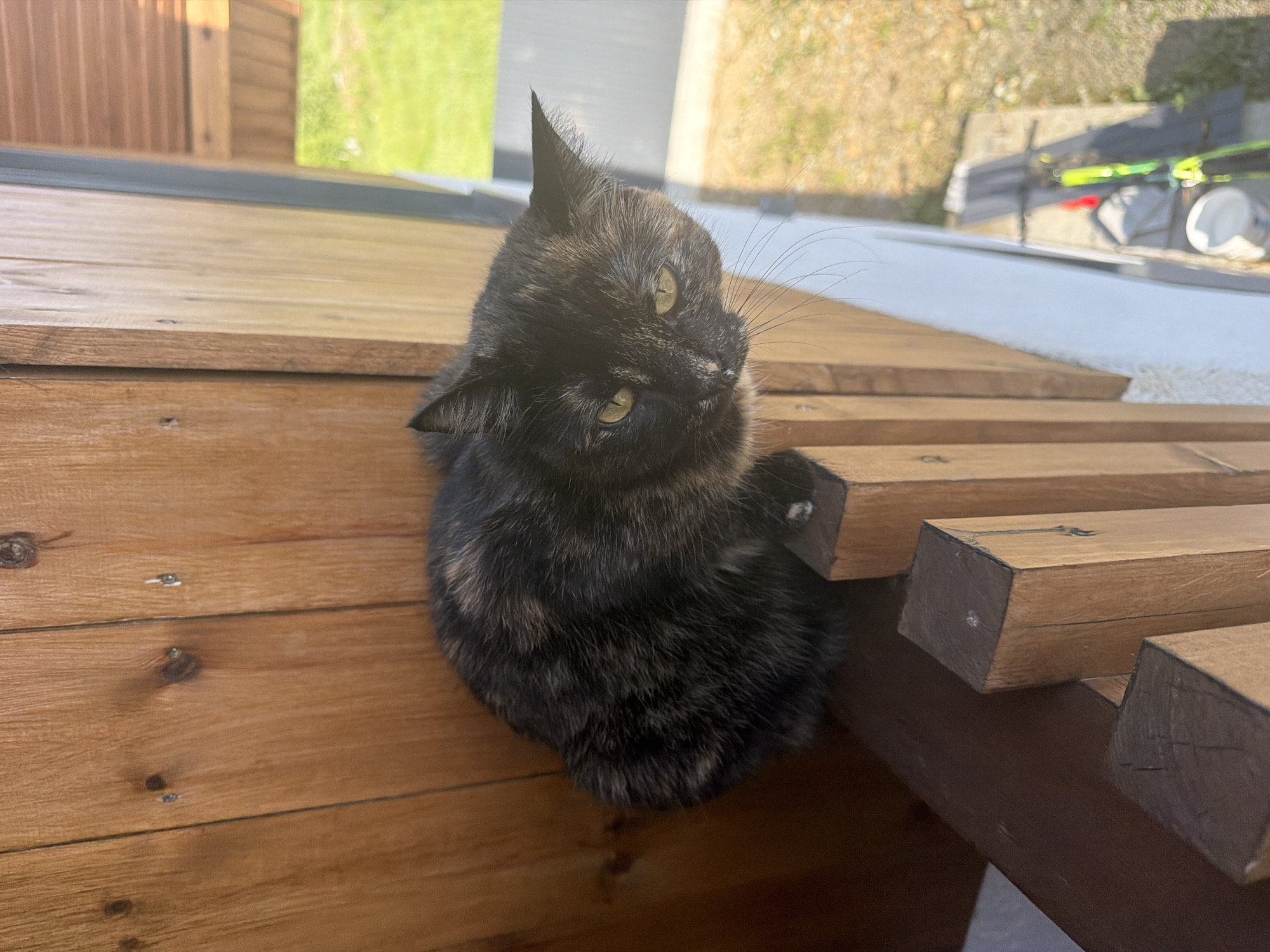 A tortoiseshell cat with green eyes is perched on a wooden railing outdoors. The cat is looking down and to the right. The background consists of a wooden wall and a blurred grassy area. The image appears to have been taken during daylight. The scene is located on a porch or balcony in Malinovka, Russia.