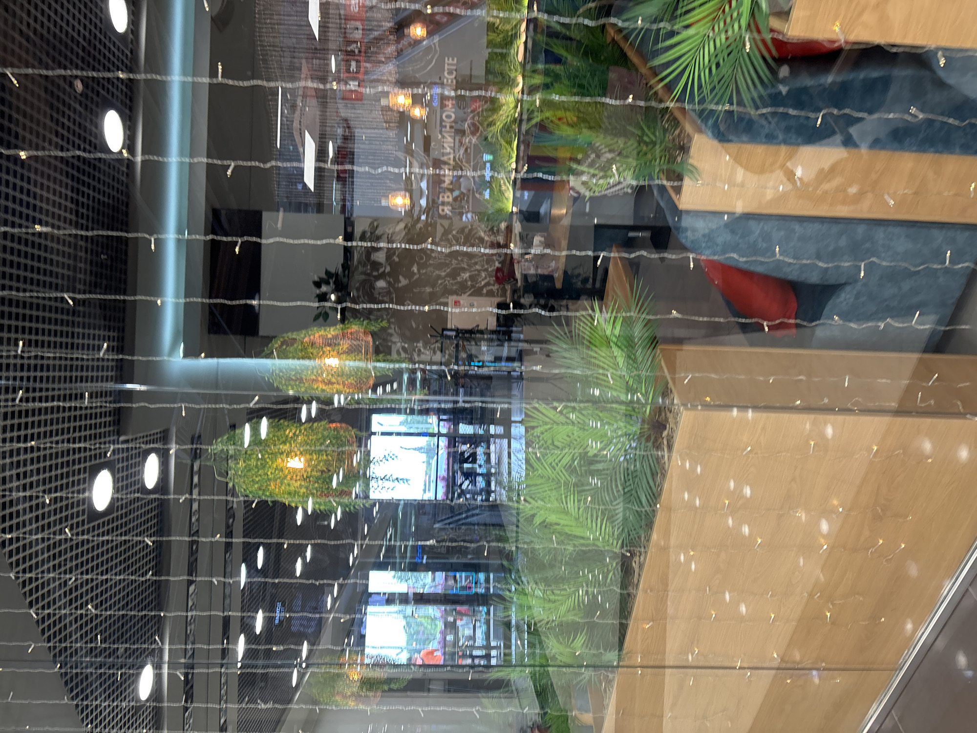 The image shows a view through a glass partition, possibly of a storefront or cafe, decorated with hanging string lights. In the foreground, there are large wooden planters containing lush green plants, resembling palm fronds. Behind the plants and lights, the interior of the establishment is visible. This includes tables, seating areas with blue upholstered couches and red cushions, and overhead lighting. Reflections in the glass show more of the interior and possibly the exterior environment. In the background, through another set of glass doors, an outdoor area with tables and people can be seen. A sign with Russian text, "Я В МЕДИЦИННОМ МЕСТЕ" (I am in a medical place), is visible on the interior wall. The overall impression is a modern and inviting commercial space, likely a cafe or restaurant. This scene is located in Naberezhnye Chelny, Russia.