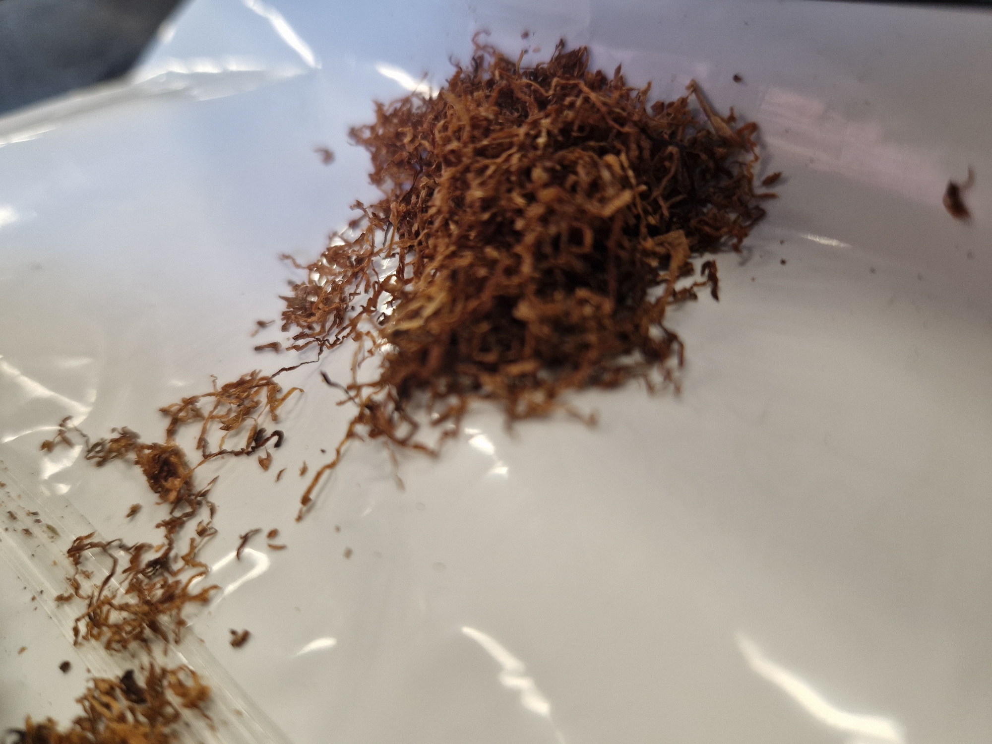 The main image displays a quantity of shredded, dry, brown material, strongly resembling loose-leaf tobacco, resting on a translucent, light-colored surface, possibly a plastic bag or sheet. The material is primarily concentrated in a heap towards the upper right of the frame, with smaller strands and fragments scattered across the lower and left sections of the surface. The shredded material exhibits a fibrous, slightly curled texture with varying shades of brown. The underlying surface is mostly white or clear, showing some wrinkles and reflections of light, indicating its flexible nature. The depth of field is shallow, rendering the background out of focus and highlighting the texture of the material. There are no people, explicit activities, visible text, or discernible location cues. The lighting appears bright and even, suggesting an indoor setting or diffused natural light.