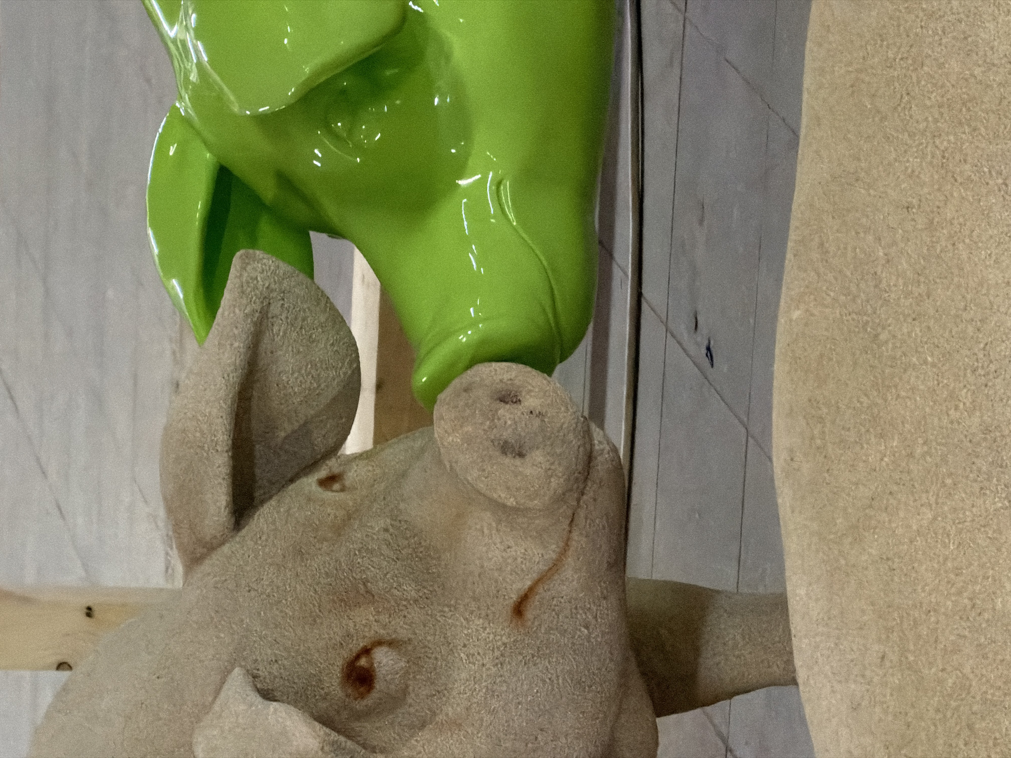 The image depicts a close-up view of two pig sculptures indoors. One sculpture, positioned at the top, is glossy and bright green. The other, located below, is tan, textured, and less reflective. They appear to be in contact, with the green pig resting on the tan pig's snout. The background consists of a wall and what appears to be part of another tan sculpture. It is impossible to confirm the location in the city of Leudelange, Luxembourg with the information from the image.