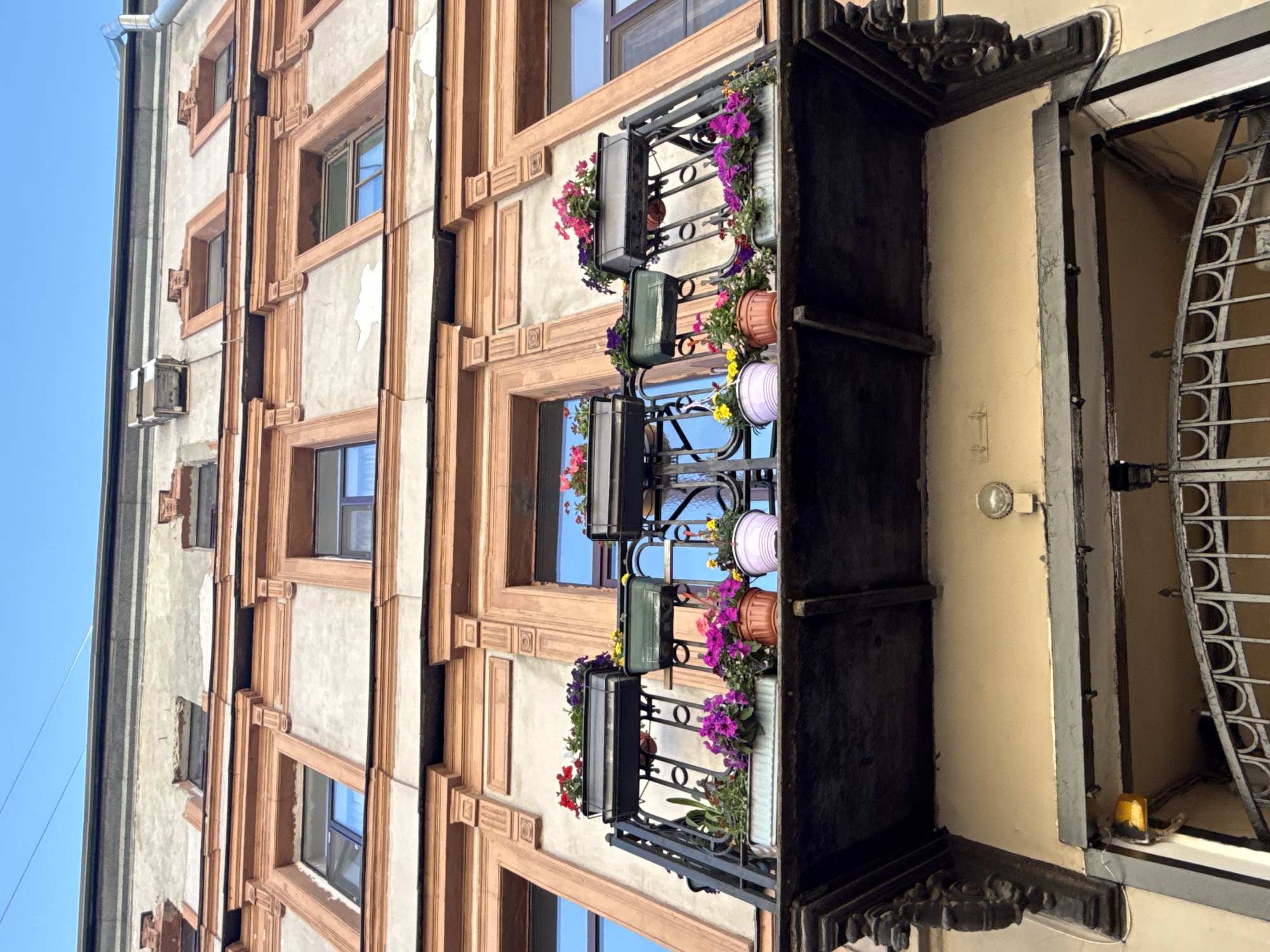 This is a low-angle, close-up shot of a balcony on an old building in Saint Petersburg, Russia. The building's facade is painted a light beige with ornate, rust-colored trim around the windows. The balcony itself is made of black wrought iron and is filled with an assortment of potted flowers in various colors, including pink, purple, yellow, and red. Some of the flowers are petunias, others are indistinct. The flowers are arranged in dark green, light blue, and terra cotta pots, as well as a weathered metal planter. The sky above is a clear, bright blue. Below the balcony, the entryway to the building is visible, with a dark metal gate and a cream-colored wall. The overall impression is one of charming decay and vibrant natural beauty against a historic urban backdrop.