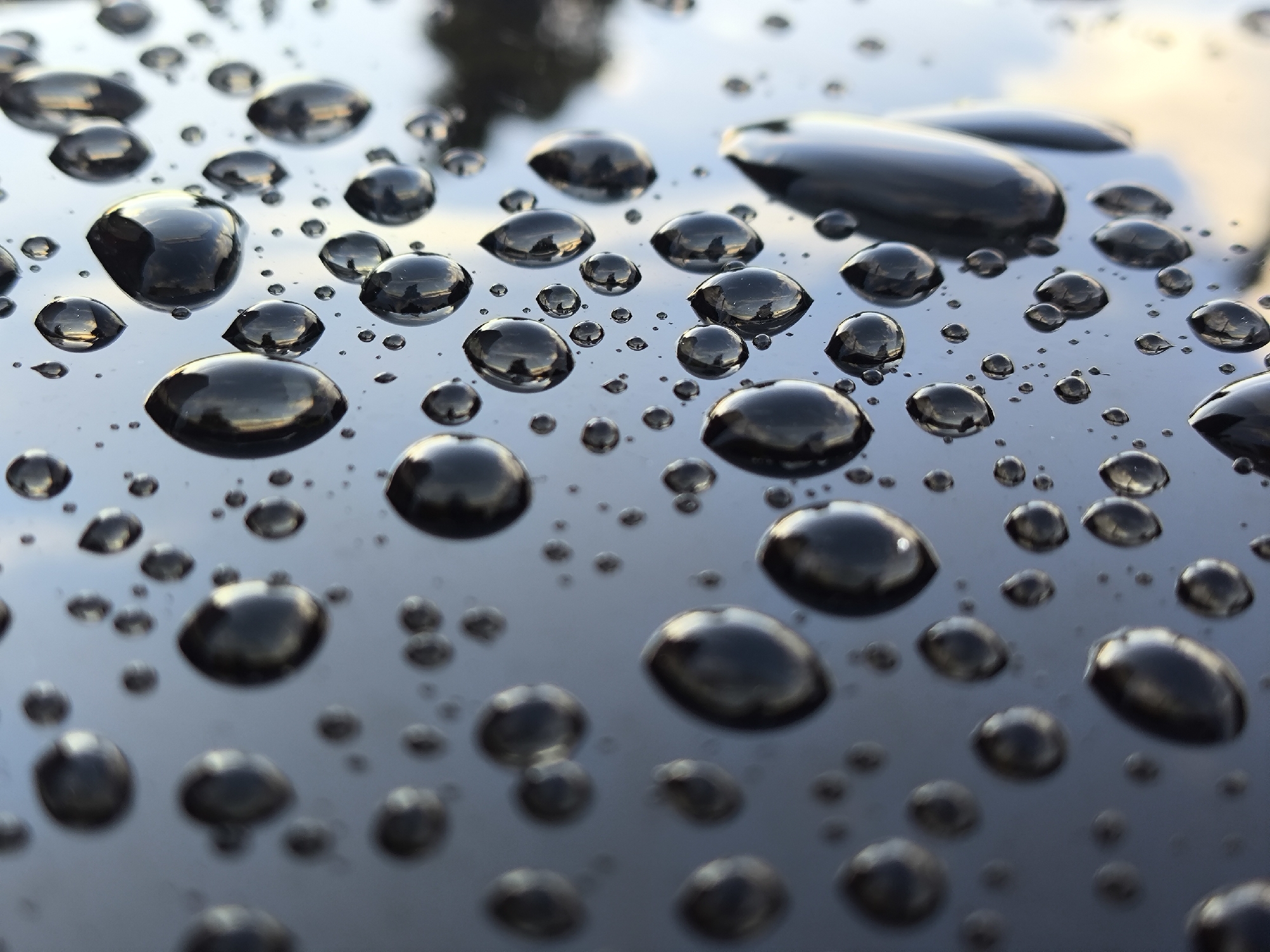 A macro photograph captures a surface covered in numerous water droplets of varying sizes, scattered across a dark, reflective material, likely the surface of a car. The droplets appear to be on the exterior of a vehicle, given the smooth, glossy finish and the way the light reflects off them. The largest droplets are prominent in the foreground and midground, their spherical or ovular shapes clearly defined. Smaller droplets are interspersed among them, some appearing as mere pinpricks of light.
The reflections within the water droplets are a key feature, showing distorted images of the sky and surrounding environment. These reflections include streaks of pale light, possibly indicating clouds or the sun low in the sky, suggesting either dawn or dusk. There are also darker, elongated shapes reflected, which could be trees or other structures, hinting at an outdoor setting. The overall color palette is dominated by the dark, almost black, surface and the silvery-gray and pale yellow tones of the reflections.
The image evokes a sense of stillness and perhaps a touch of melancholy, common with rainy or post-rainy conditions. The focus is entirely on the texture and optical properties of the water on the surface, creating an abstract and visually engaging composition. The specific location of Kaliningrad, Russia, provides geographical context but doesn't offer specific visual cues within the image itself, as the scene is universal to any place experiencing rain on a dark, reflective surface. No text is visible in the image.