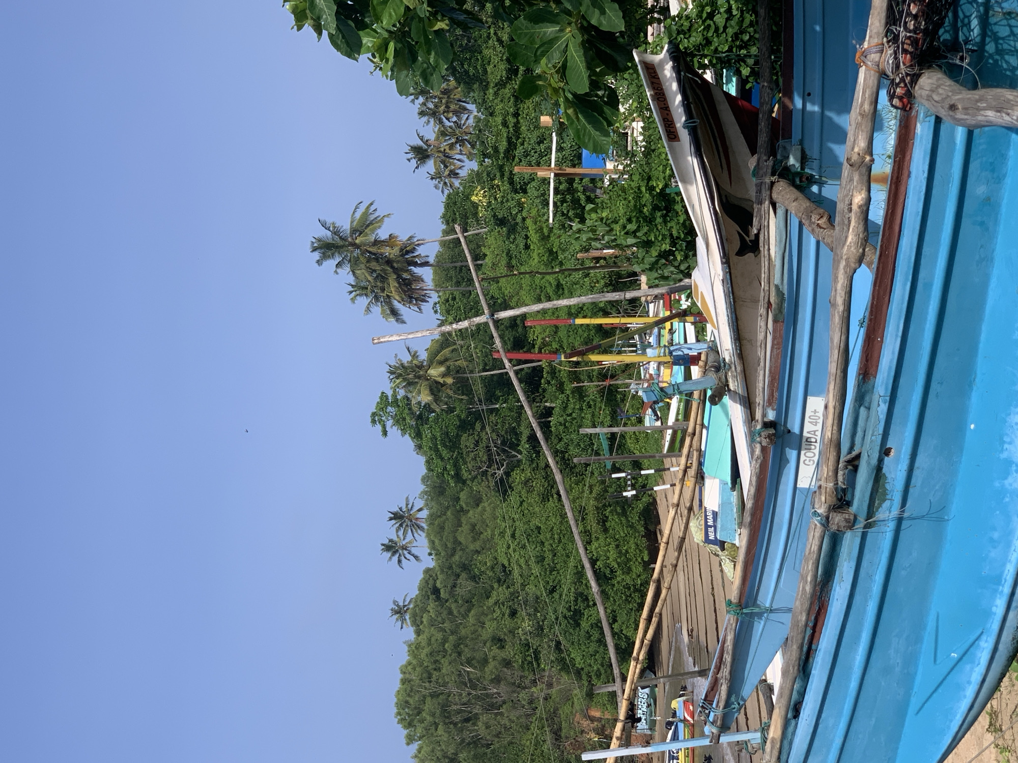 The image depicts a beach scene in Mirissa, Sri Lanka. In the foreground, two bright blue fishing boats are partially visible, resting on the sand. Both boats have wooden trim and are secured with ropes to wooden poles. One of the blue boats has "GOUDA 40+" written on its side. Behind these boats, other smaller boats and a white fishing vessel are visible, some with colorful accents.
The background is dominated by lush green vegetation and palm trees, suggesting a tropical environment. A dense forest covers the hill in the distance. The sky above is clear and blue, with a single small bird or aircraft visible in the upper portion of the sky. Wooden poles and bamboo structures are interspersed among the boats, likely used for support or as part of the fishing infrastructure. The overall scene suggests a working fishing harbor or beach where boats are pulled ashore.