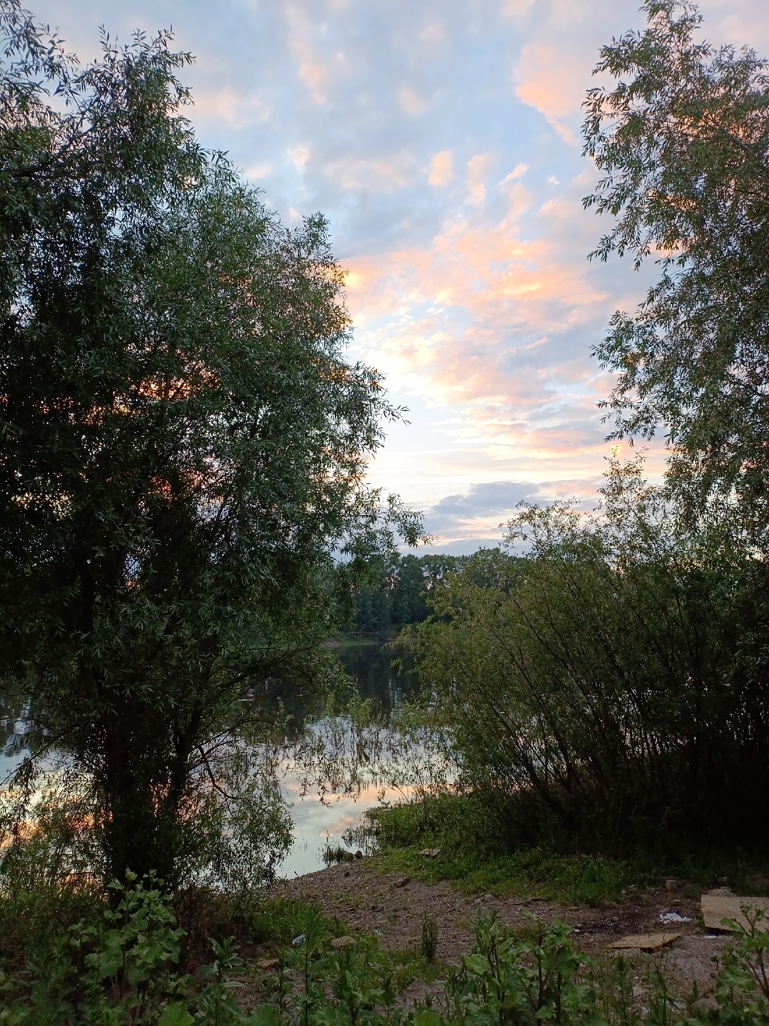 The image depicts a serene natural scene at dusk, likely near the Kama River in Chaikovsky, Russia. The sky is painted with soft pastel hues of pink, orange, and blue, with scattered clouds. Two large trees frame the view, their dark green foliage contrasting with the vibrant sky. A calm body of water, possibly the Kama River, reflects the twilight sky and the surrounding trees. The shoreline is covered with lush green vegetation, small pebbles, and a few discarded wooden planks, suggesting a secluded or less-maintained area. The overall atmosphere is peaceful and tranquil, indicative of a natural landscape at the end of the day. There are no people or animals visible in the scene.