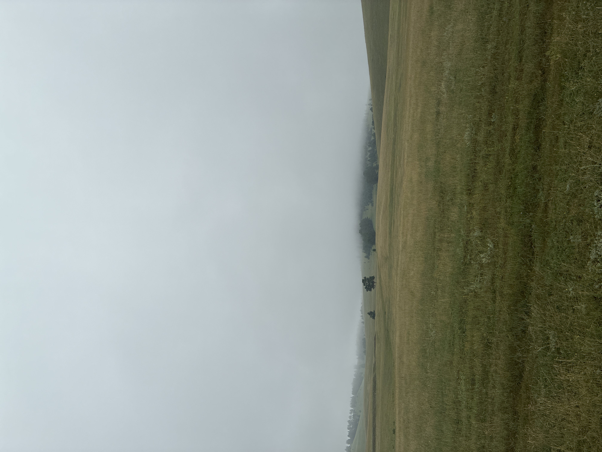 The image depicts a vast, rolling grassland under a heavy, overcast sky. The fog is thick, obscuring the distant horizon and creating a muted, monochromatic palette. In the middle ground, a few scattered trees are visible, their forms softened by the mist. The foreground is dominated by tall, dry grasses, which appear golden and tan, suggesting a late summer or early autumn season. The overall atmosphere is one of quiet solitude and subdued natural beauty, with the fog lending an ethereal quality to the landscape. There are no people or man-made structures visible in the image. This scene is not identifiable as being located in the city of Ust'-Ordynskii, Russia; it is a generic grassland landscape.