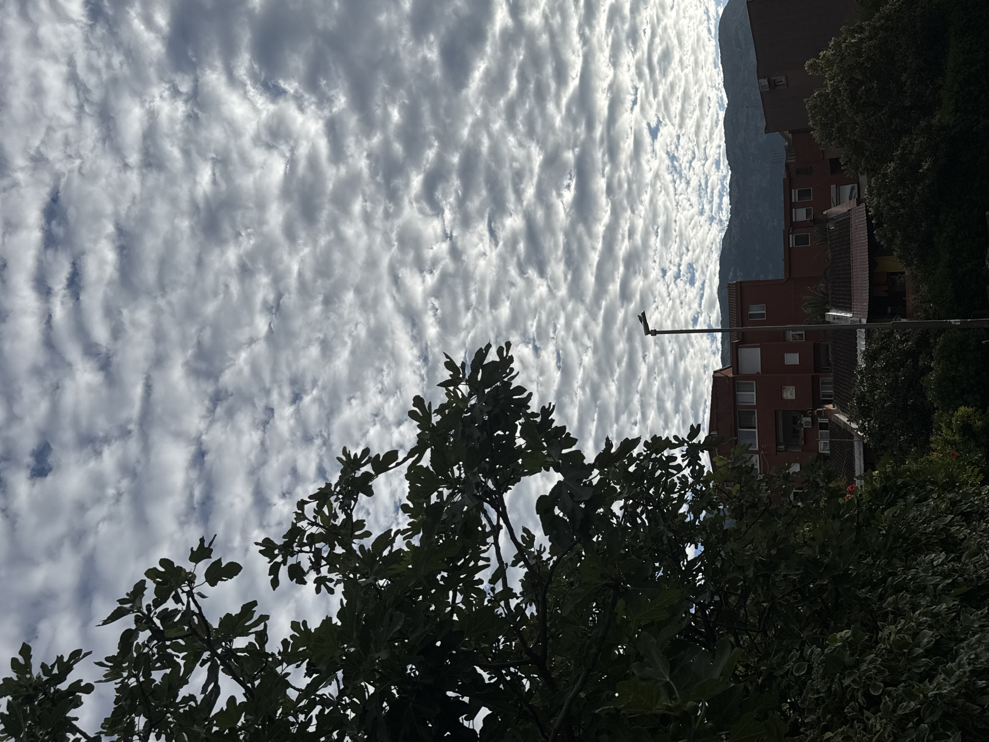 The image displays an outdoor scene characterized by a cloudy sky, dense vegetation, residential buildings, and a distant mountain range. The sky is largely covered by uniform altocumulus clouds, presenting a rippled or "mackerel" pattern, with small areas of blue sky visible between the cloud formations. The left side of the foreground is occupied by the dark silhouette of a large tree, identified by its distinctive lobed leaves as a fig tree. Beneath this tree, additional dark green foliage is present. In the midground, a cluster of residential buildings is visible. A prominent reddish-brown, multi-story building with numerous windows and several air conditioning units attached to balconies stands centrally. Other smaller buildings with reddish-brown tiled roofs are positioned to its right and lower. A dark-colored streetlight pole, equipped with a single luminaire, extends vertically in the lower-middle portion of the frame. The background features a dark, undulating mountain range stretching across the horizon. No people are present in the image. The architectural styles, vegetation, and mountainous backdrop are consistent with a residential area in the city of Budva, Montenegro.