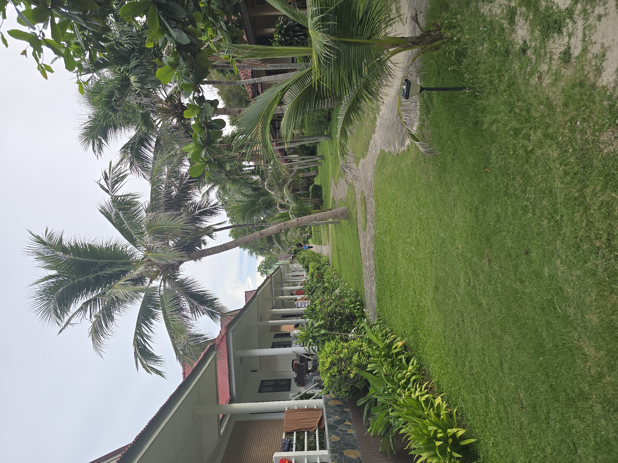 The image depicts a resort property with a row of bungalows lining a grassy pathway. Tall palm trees are scattered throughout the scene, some close to the bungalows and others further back. The bungalows feature red roofs and white columns supporting covered porches. Lush green vegetation, including bushes and plants, is planted along the front of the bungalows. The pathway is paved with light-colored stones and winds through the grass. In the distance, a few people are walking along the path. The sky is overcast, suggesting a cloudy day. The scene appears to be a tropical or subtropical location.