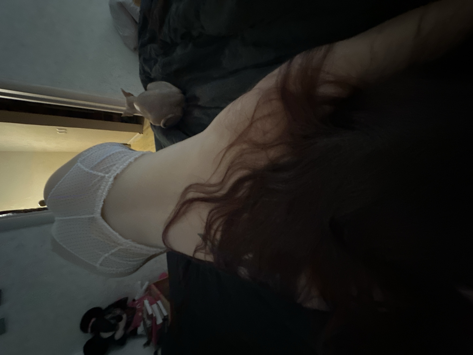 The image, captured from an overhead perspective and rotated 90 degrees counter-clockwise, depicts an intimate indoor scene. The main subject is a person, likely female, shown from the back and side. She has long, wavy dark brown hair that cascades over her back and shoulder. Her skin is fair, and she is wearing sheer white underwear bottoms with a dotted texture, revealing her lower back and hip. A small, dark tattoo is faintly visible on her upper back, partially obscured by her hair.
The setting appears to be a bedroom. The person is positioned on a bed covered with dark bedding. In the background, to the left of the person's hip, a light-colored, small animal figurine, possibly a pig, rests on a dark surface. Further left, a bright light source emanates from what seems to be a window or opening, casting a soft glow. On the floor in the lower left corner of the frame (when viewed in its original orientation), a pair of dark shoes or slippers are visible among some other items.
The lighting is dim, suggesting an early morning, late evening, or interior lighting scenario, contributing to a private atmosphere. The person's pose is relaxed. No specific activity beyond being present in the room is clearly depicted. There is no visible text in the image. While the location context is provided as Vladimir, Russia, no visual elements within the image directly confirm this geographical detail.